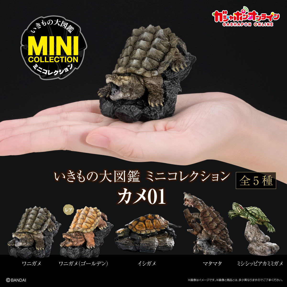Encyclopedia of Living Things Mini Collection Turtle 01 Matamata BANDAI