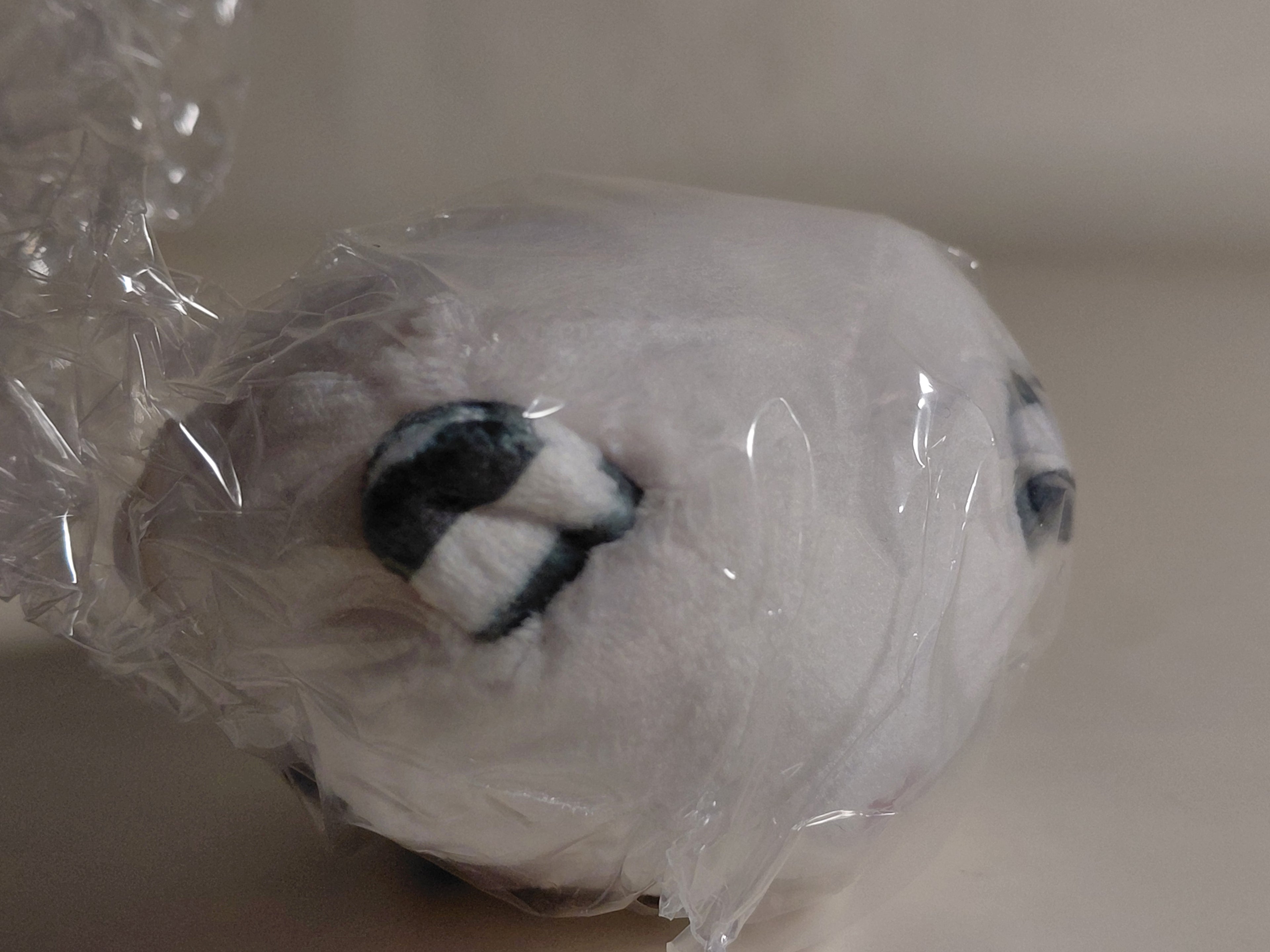 Mofuketsu Mini Cushion Part.2 Capsule Toy #4. White Tiger