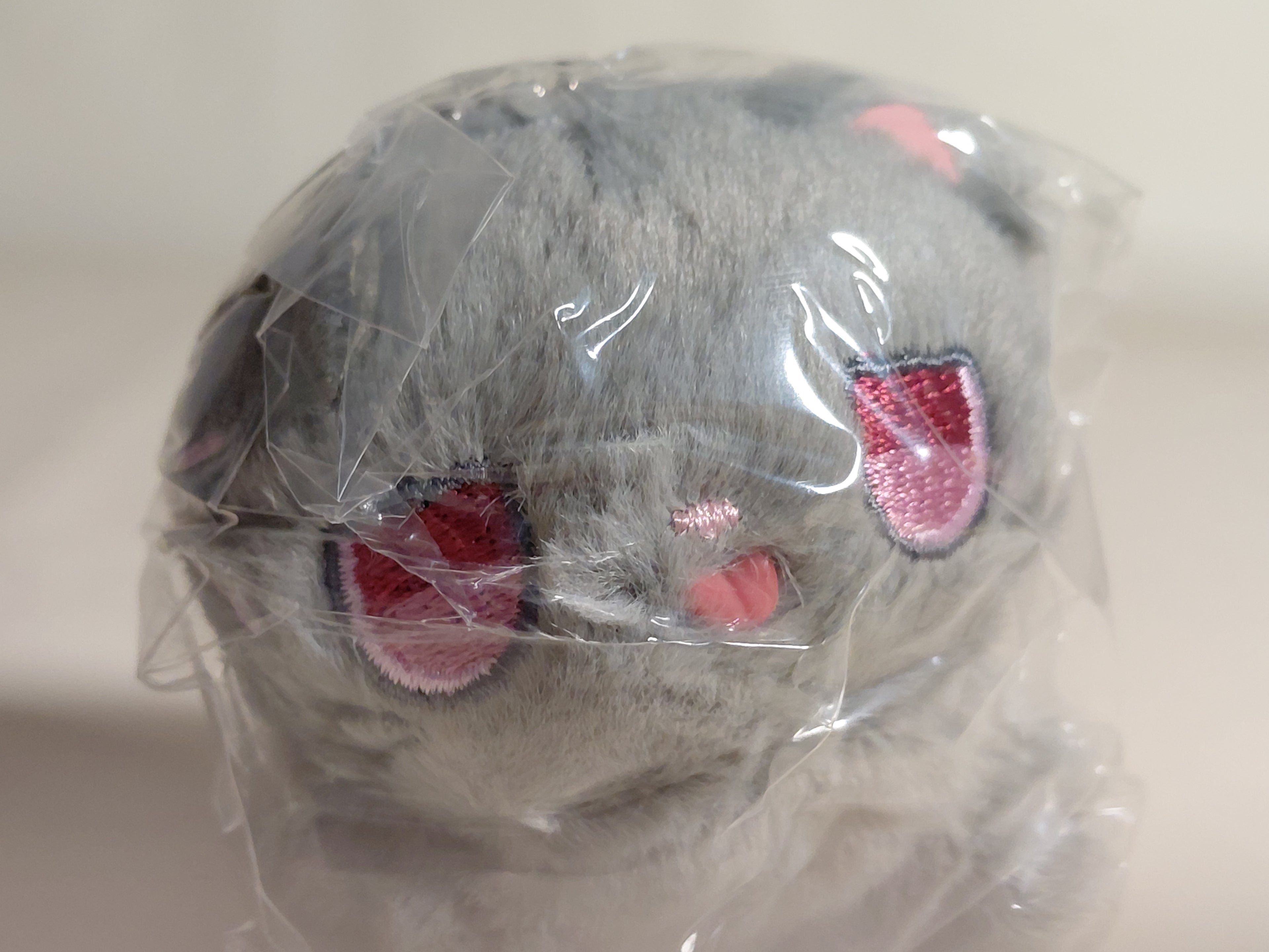 Lick! Forgotten Kitty Plush Mascot [4. Komugi]