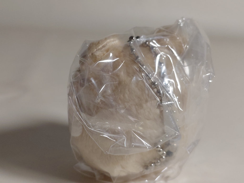 Sanrio Latte Bear Costume Keychain Gacha Cinnamoroll Daruma