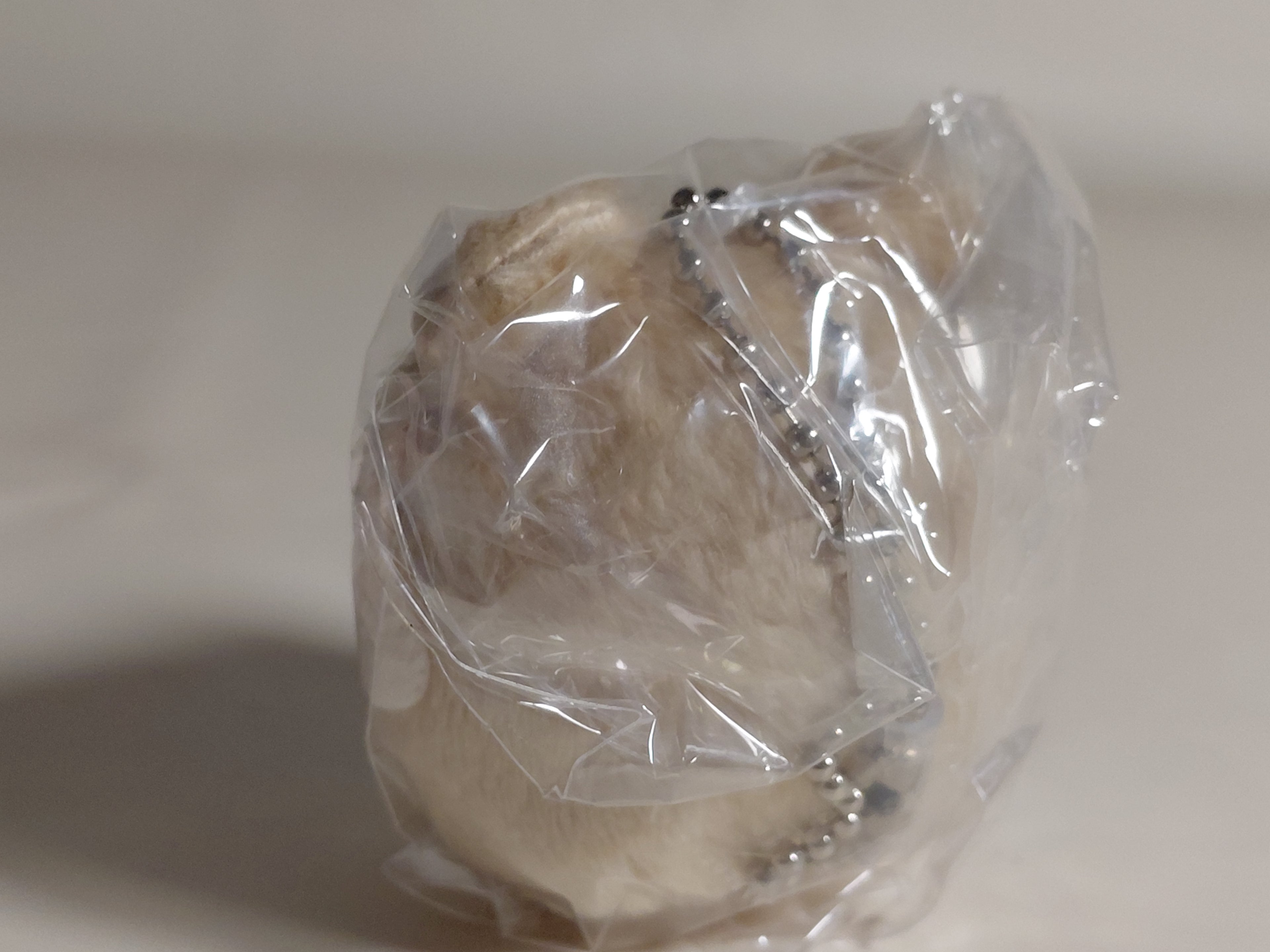 Sanrio Latte Bear Costume Keychain Gacha Cinnamoroll Daruma