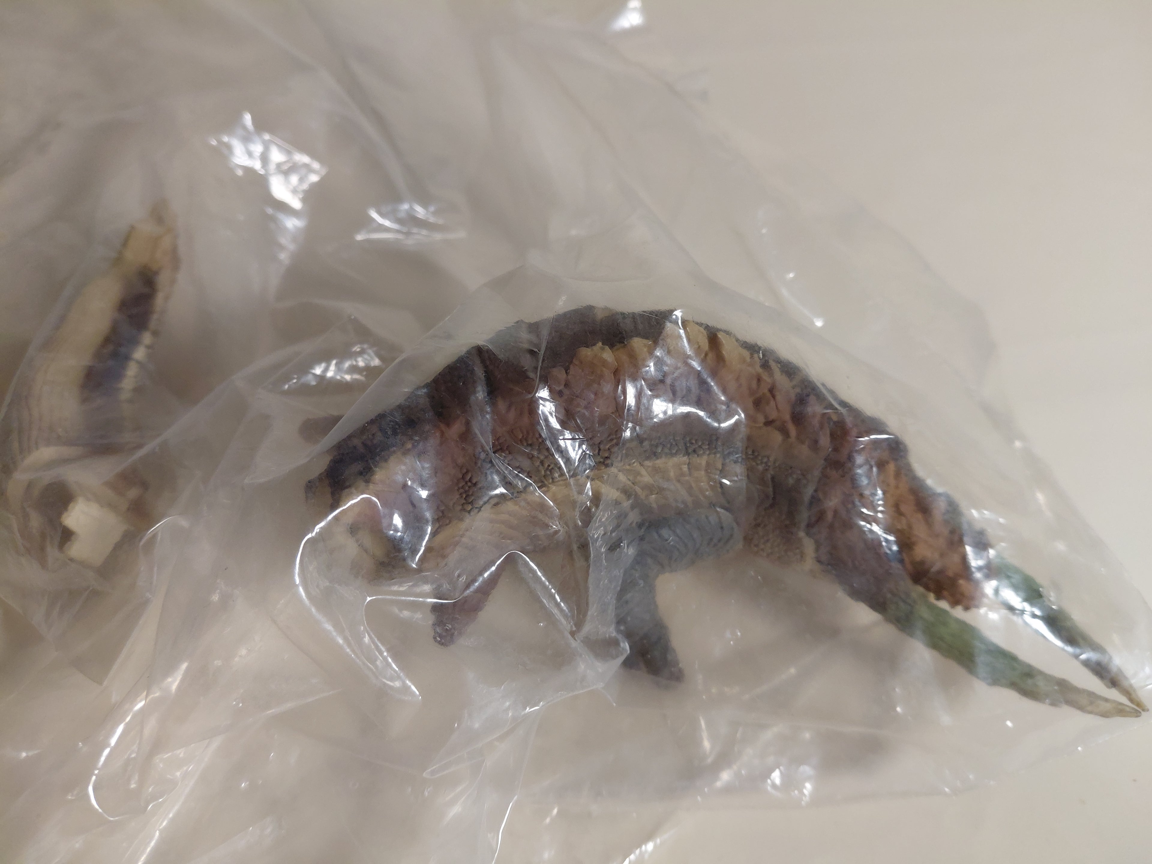 Monster Hunter 3.5" Jhen Mohran Figure Standard Model Plus Capcom Bandai