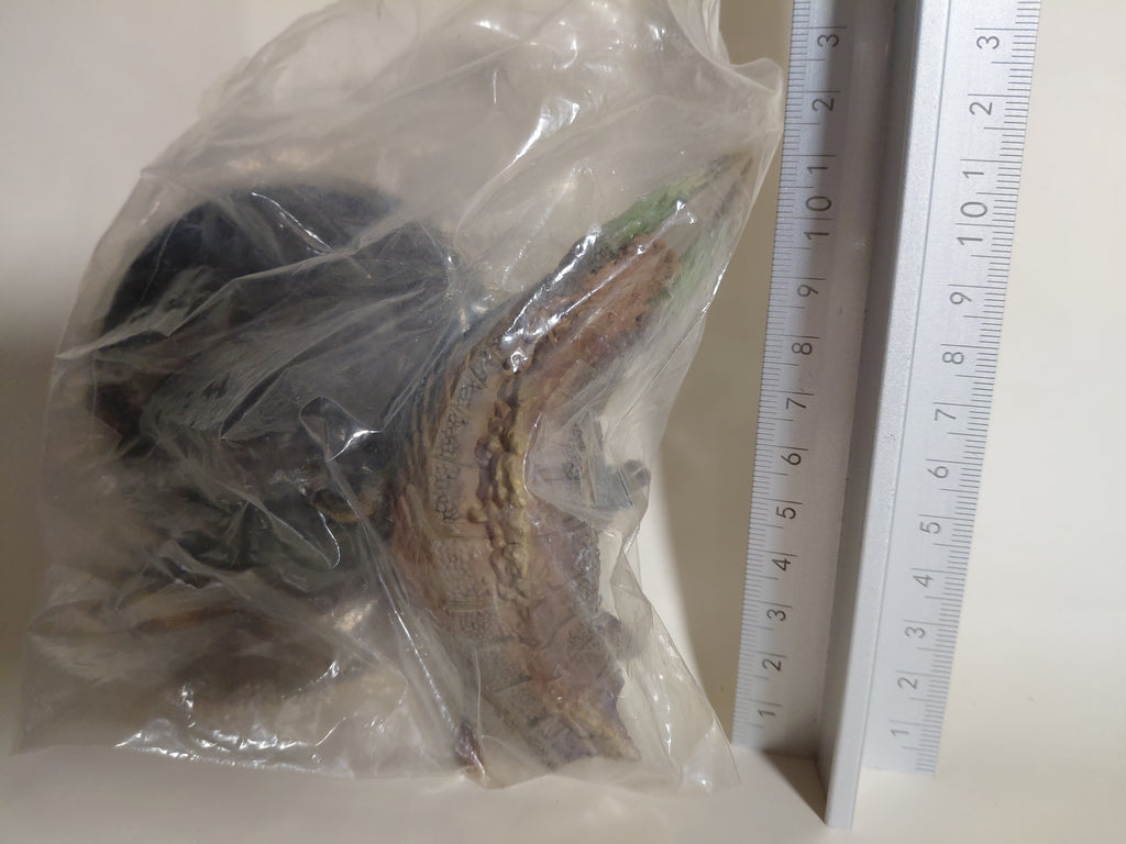 Monster Hunter 3.5" Jhen Mohran Figure Standard Model Plus Capcom Bandai