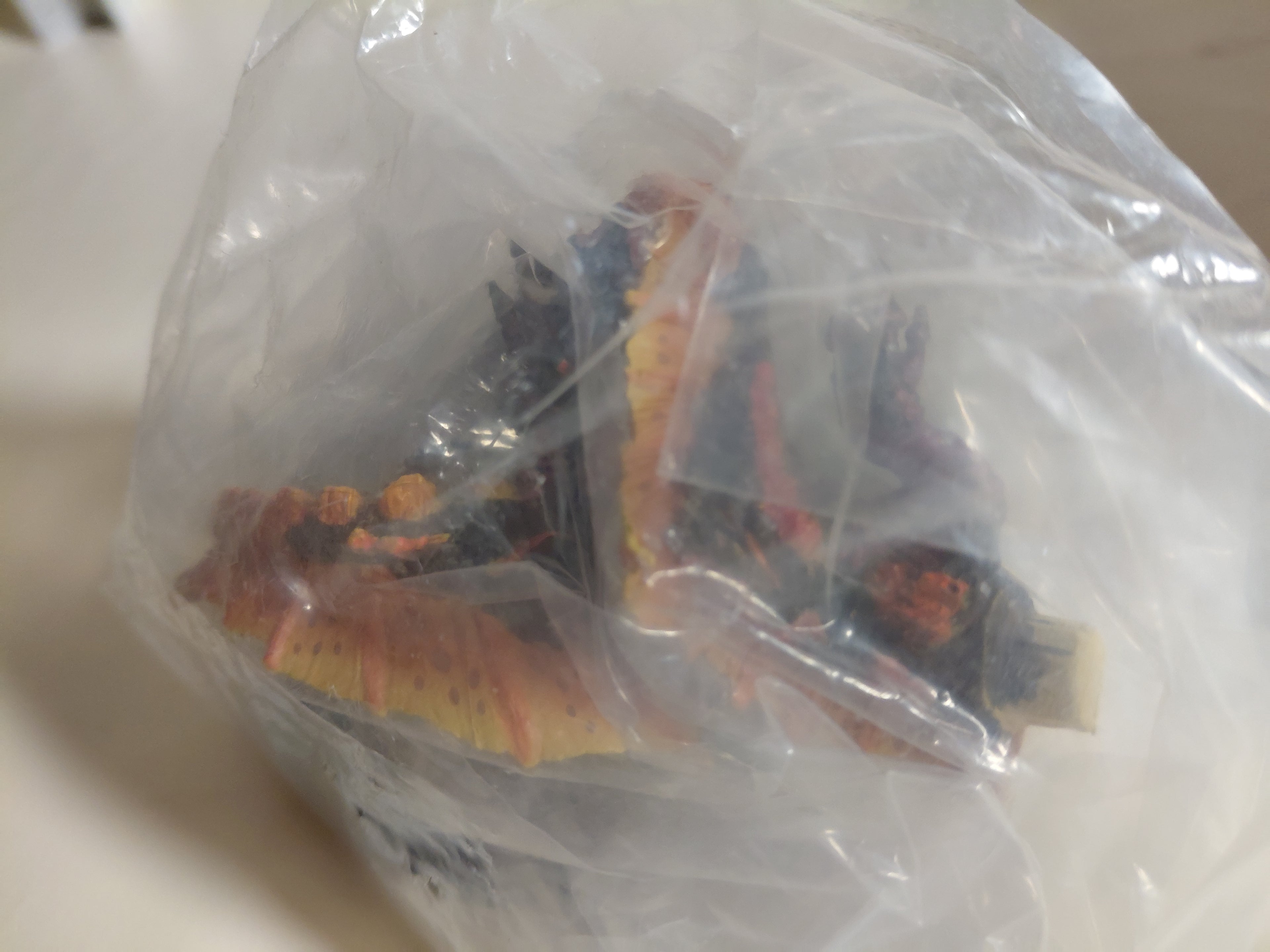 Monster Hunter 4" RAGE MAGMA AGNAKTOR FIGURE SUPER SHAPED SOUL - BANDAI CAPCOM