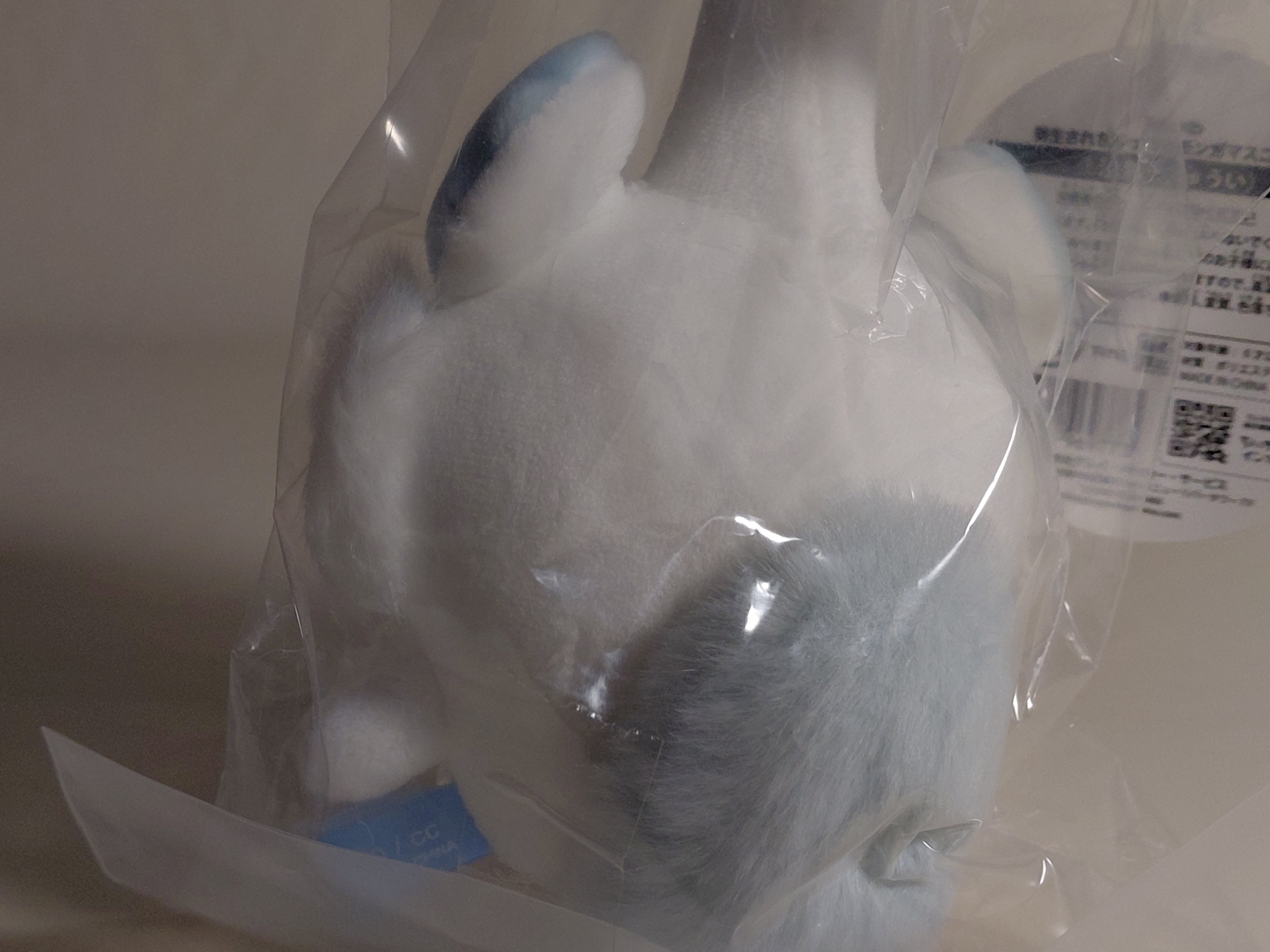 Chiikawa Flying Squirrel - A Flying Squirrel Mascot That's Been Parasitized