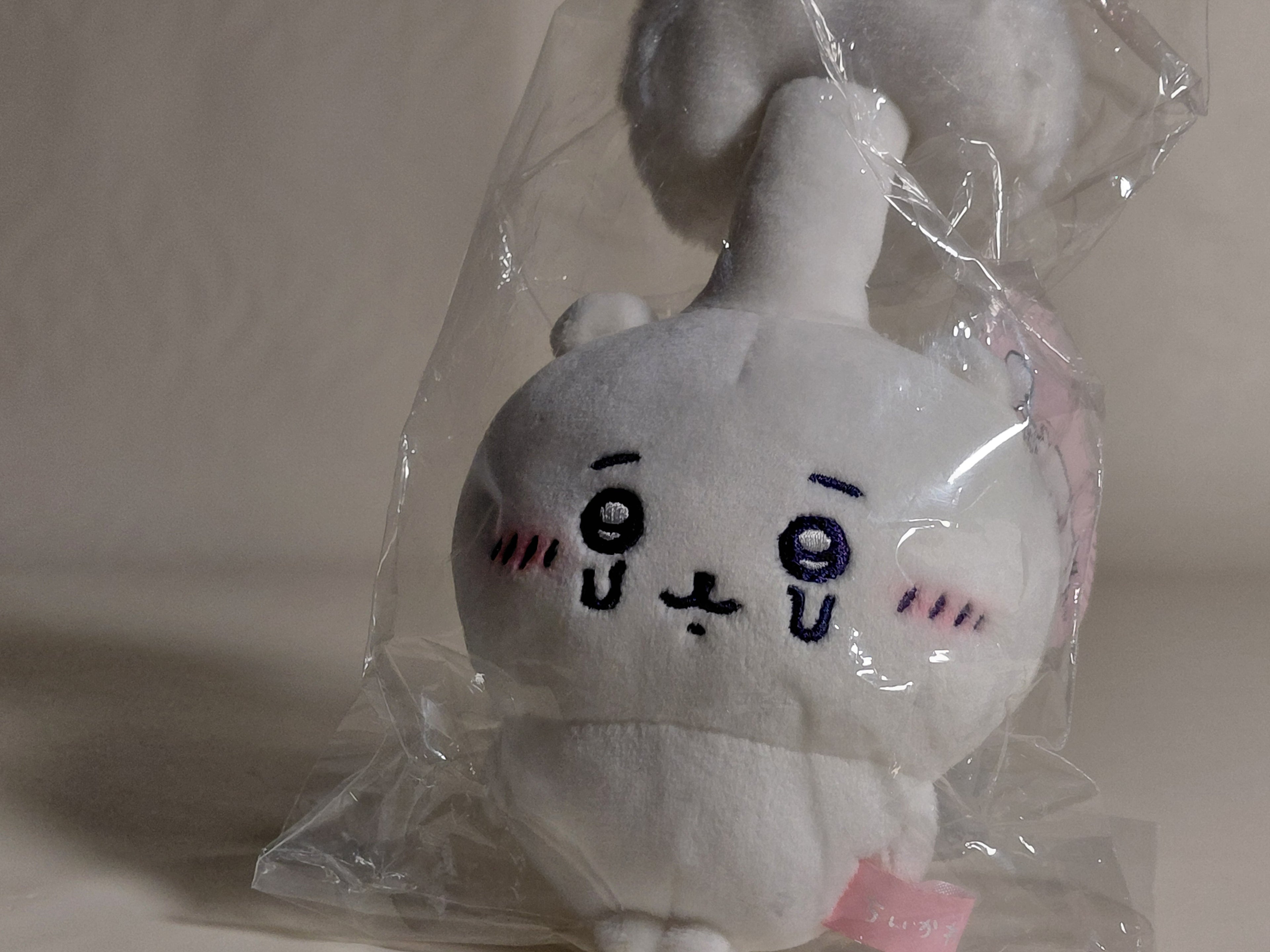 Chiikawa Parasite Mushroom BIG Plush Doll Chikawa Japan.