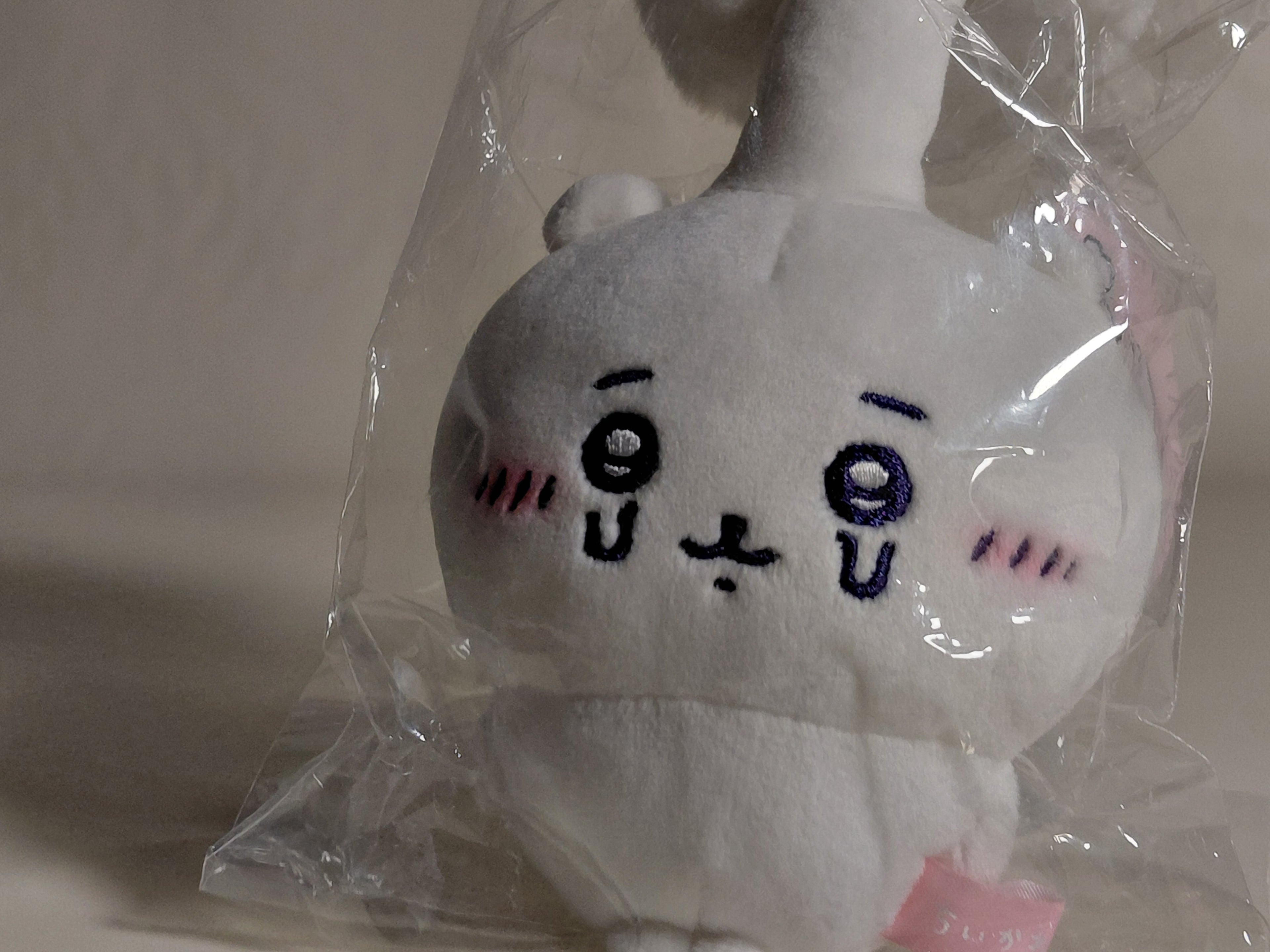 Chiikawa Parasite Mushroom BIG Plush Doll Chikawa Japan.