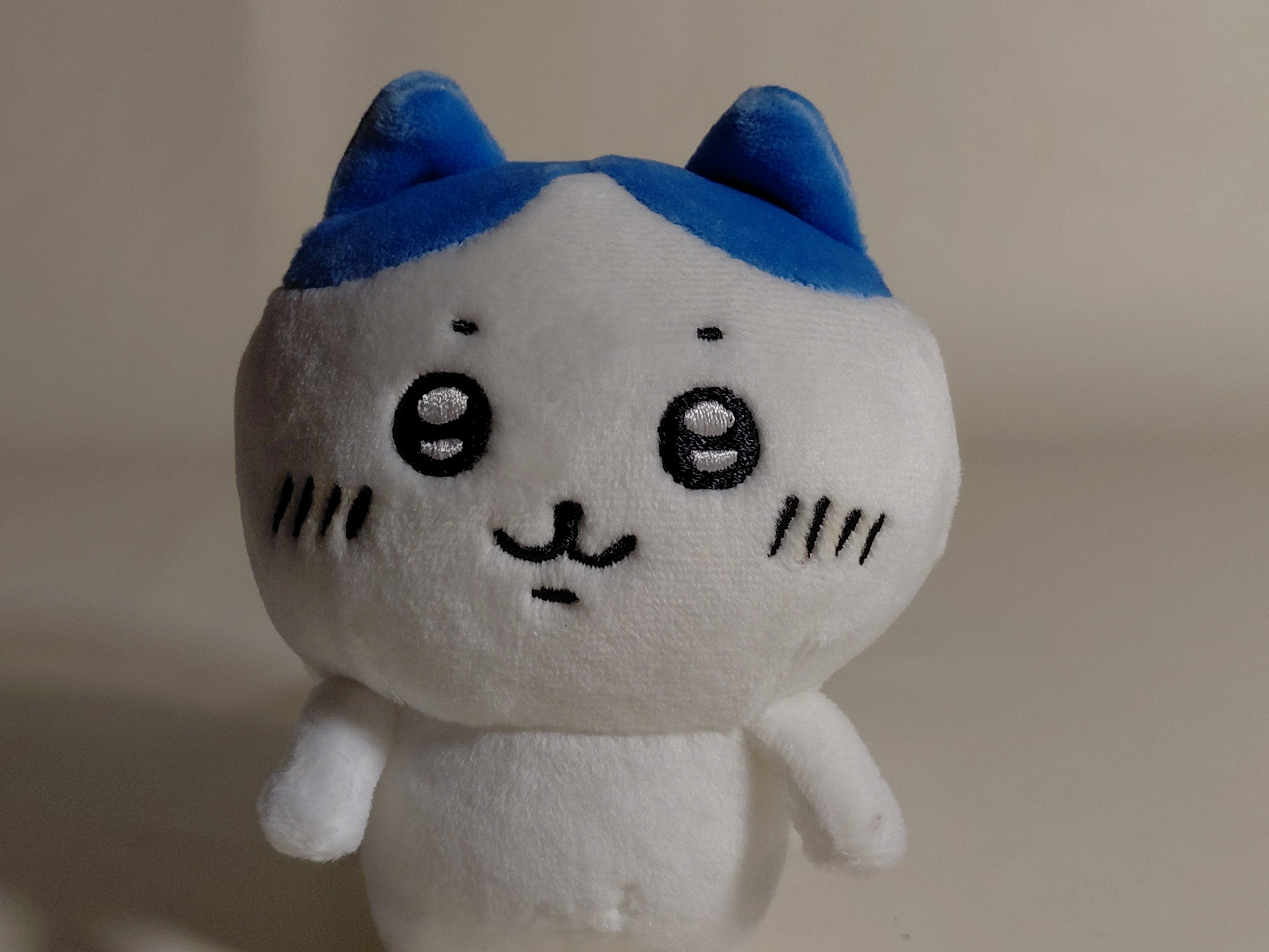 Chiikawa Plush Toy S (Bicolor) - Early Goods