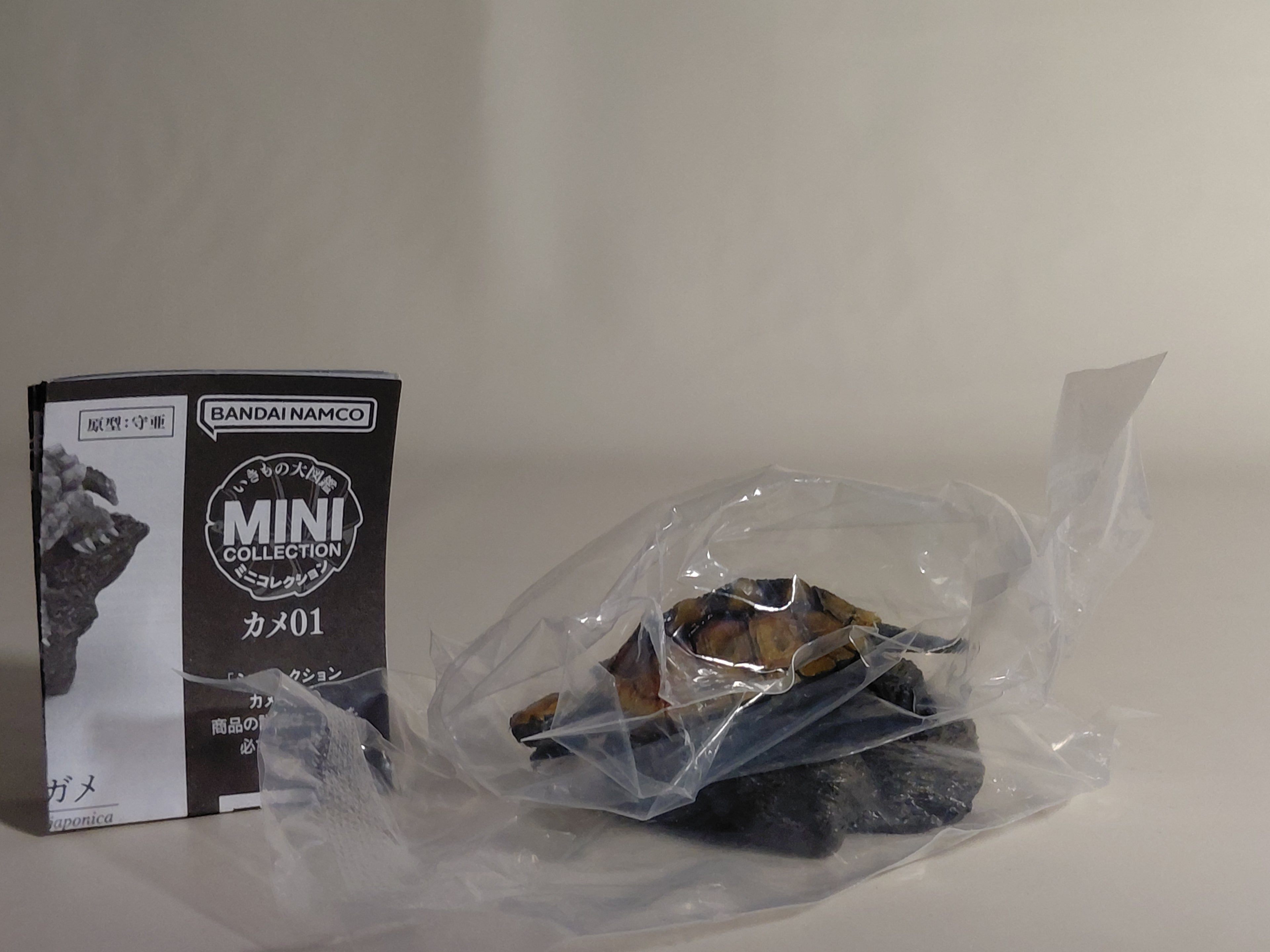 Encyclopedia of Living Things Mini Collection Japanese pond turtle (Nihon ishigame)