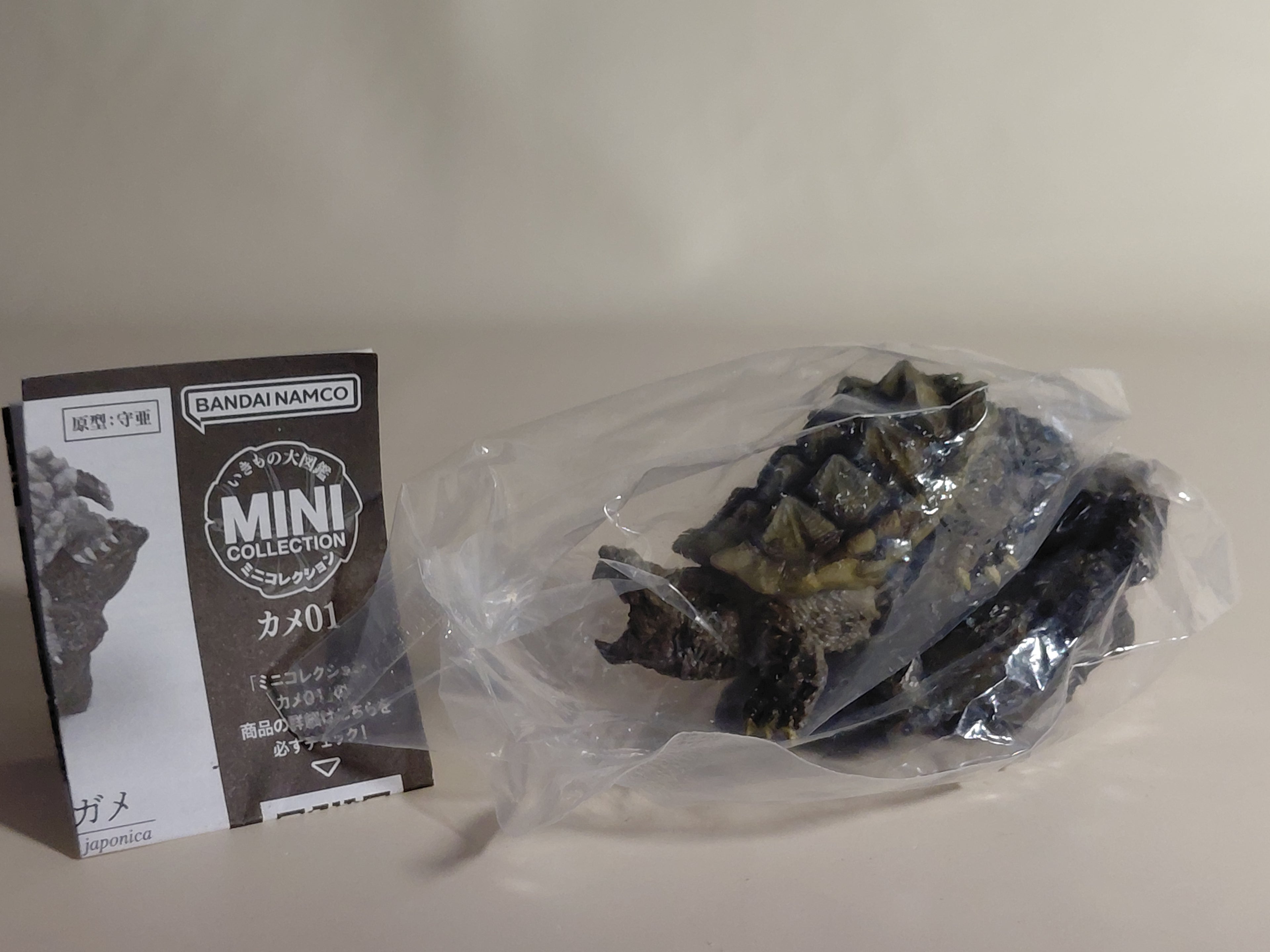 Encyclopedia of Living Things Mini Collection Alligator snapping turtle