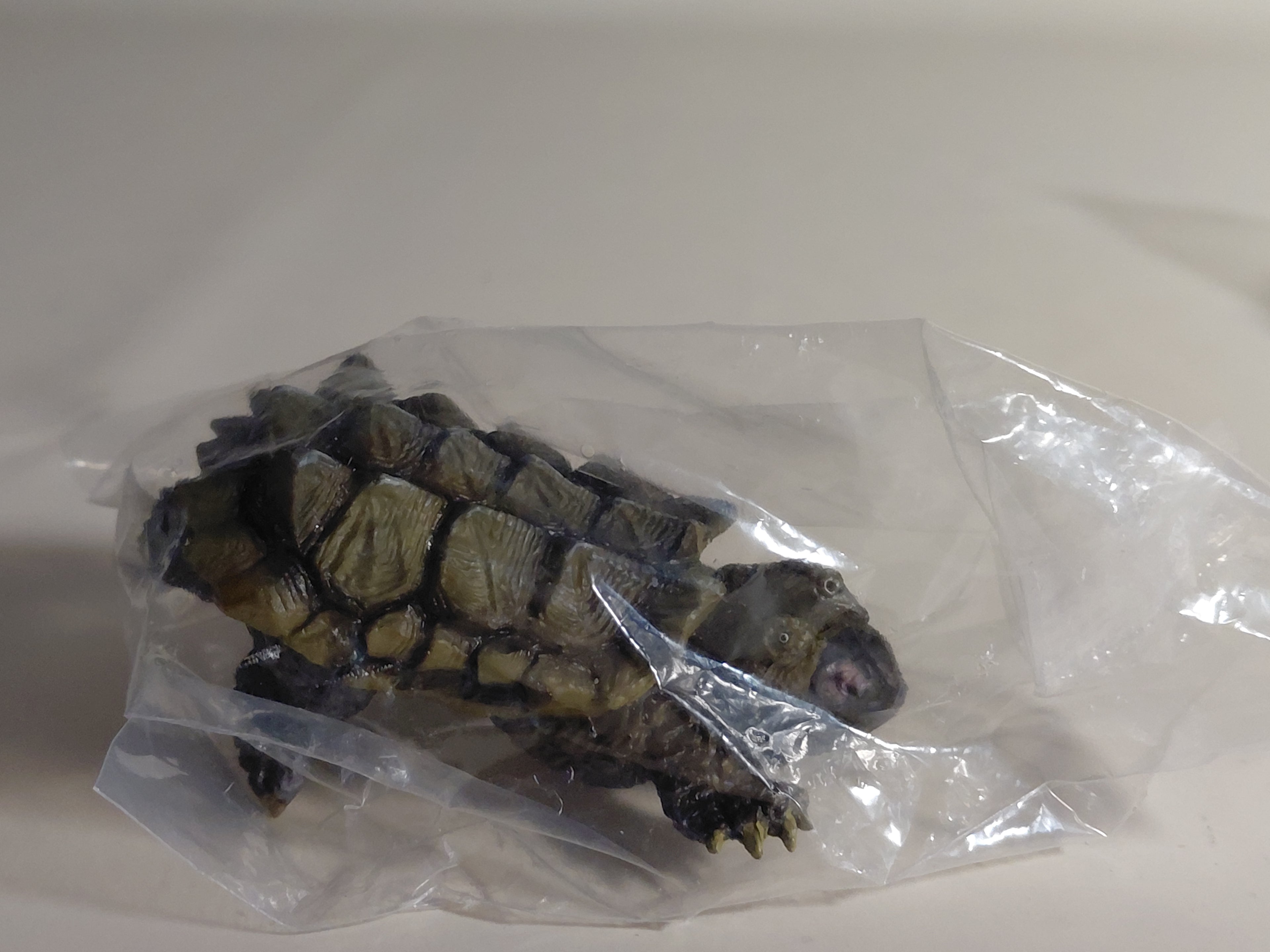 Encyclopedia of Living Things Mini Collection Alligator snapping turtle