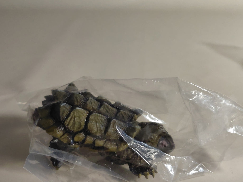 Encyclopedia of Living Things Mini Collection Alligator snapping turtle