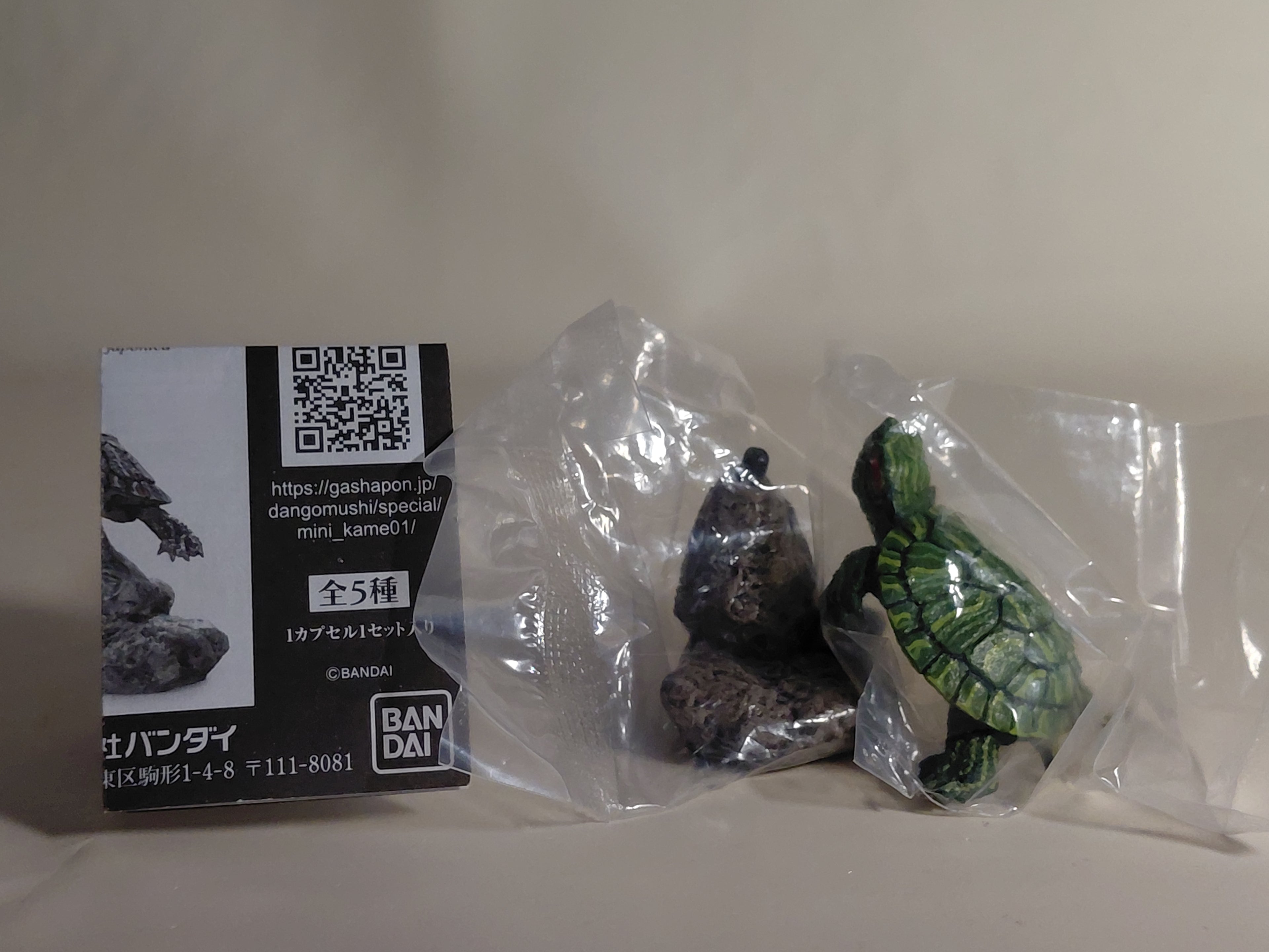 Encyclopedia of Living Things Mini Collection Red-eared Slider