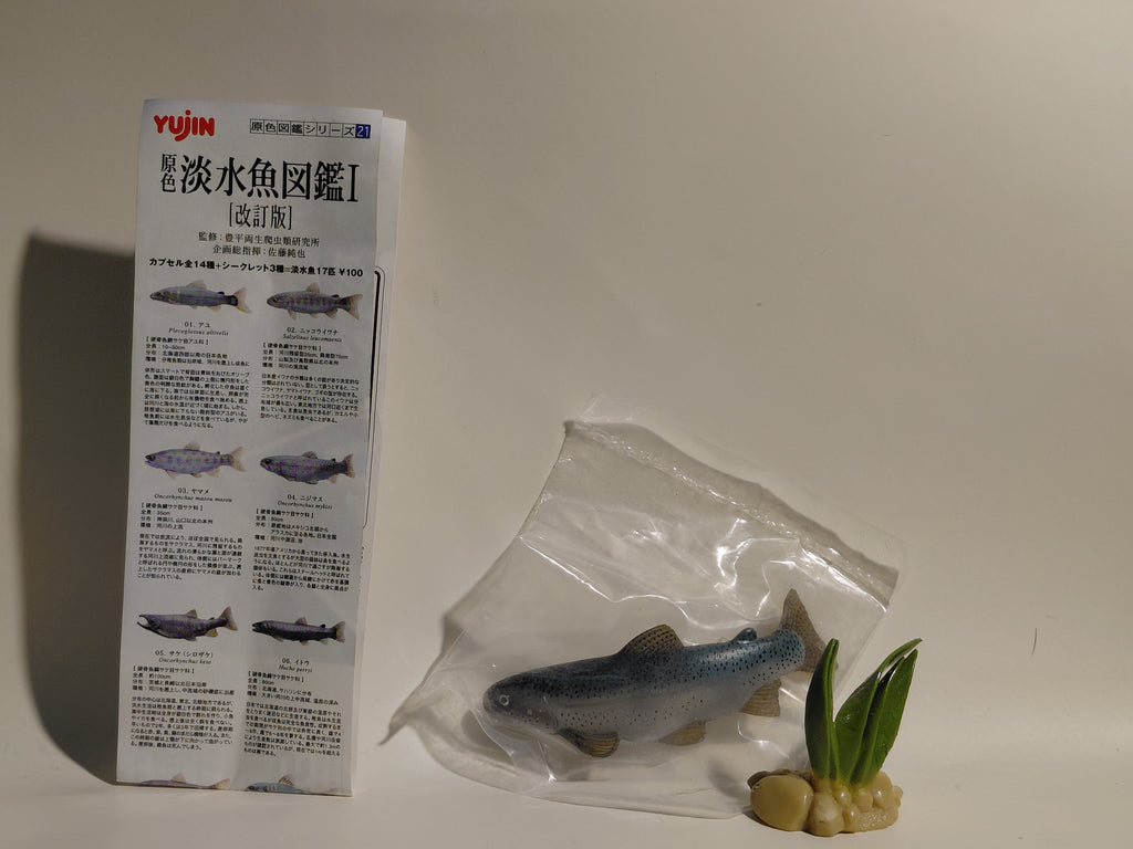 Freshwater Fish Encyclopedia Rainbow Trout Fish SP Secret Figure B