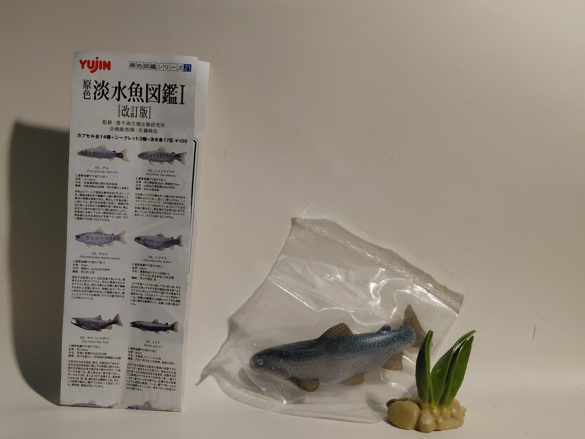 Freshwater Fish Encyclopedia Rainbow Trout Fish SP Secret Figure B
