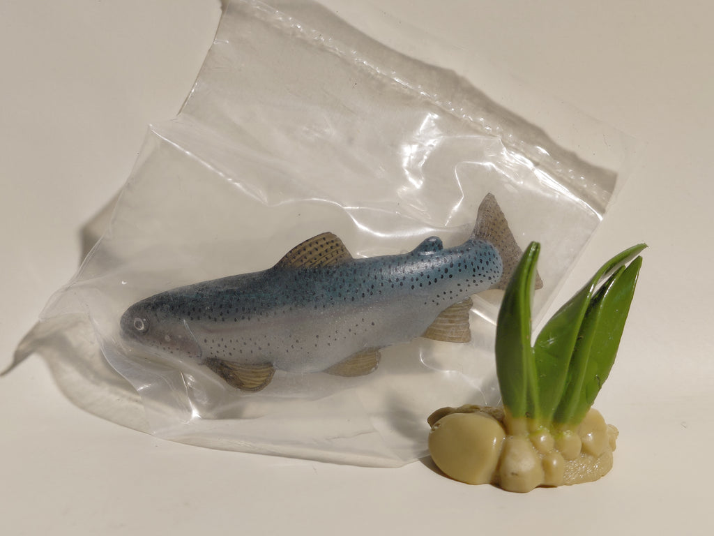 Freshwater Fish Encyclopedia Rainbow Trout Fish SP Secret Figure B