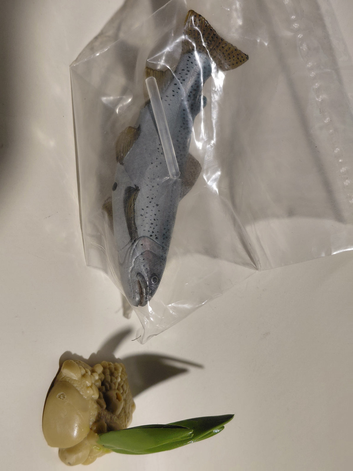 Freshwater Fish Encyclopedia Rainbow Trout Fish SP Secret Figure B