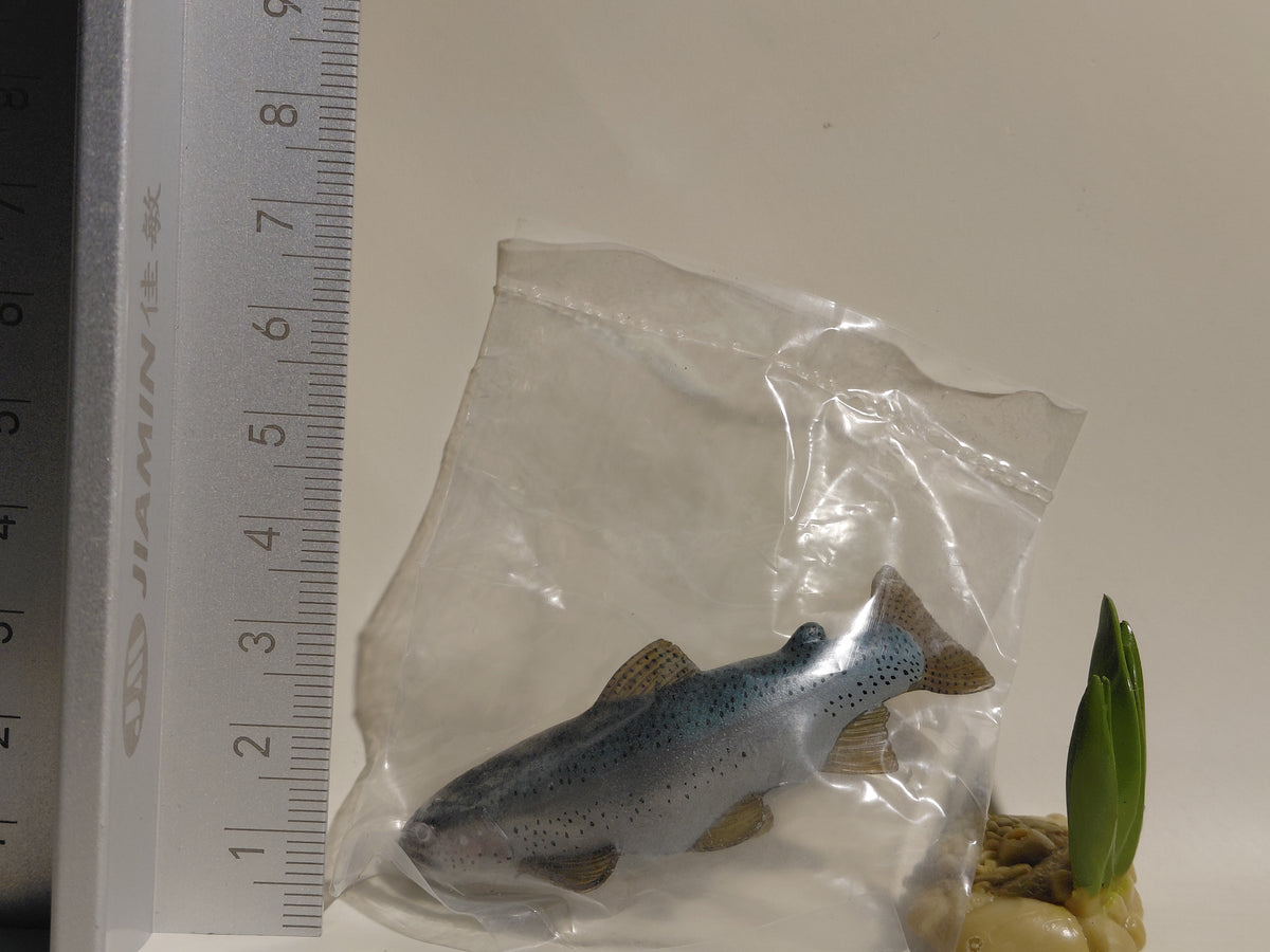 Freshwater Fish Encyclopedia Rainbow Trout Fish SP Secret Figure B
