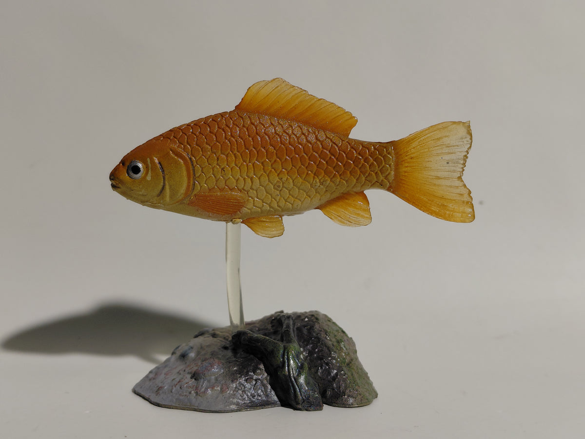 Yujin Japanese Exclusive Japanese Carp Fish Secret SP
