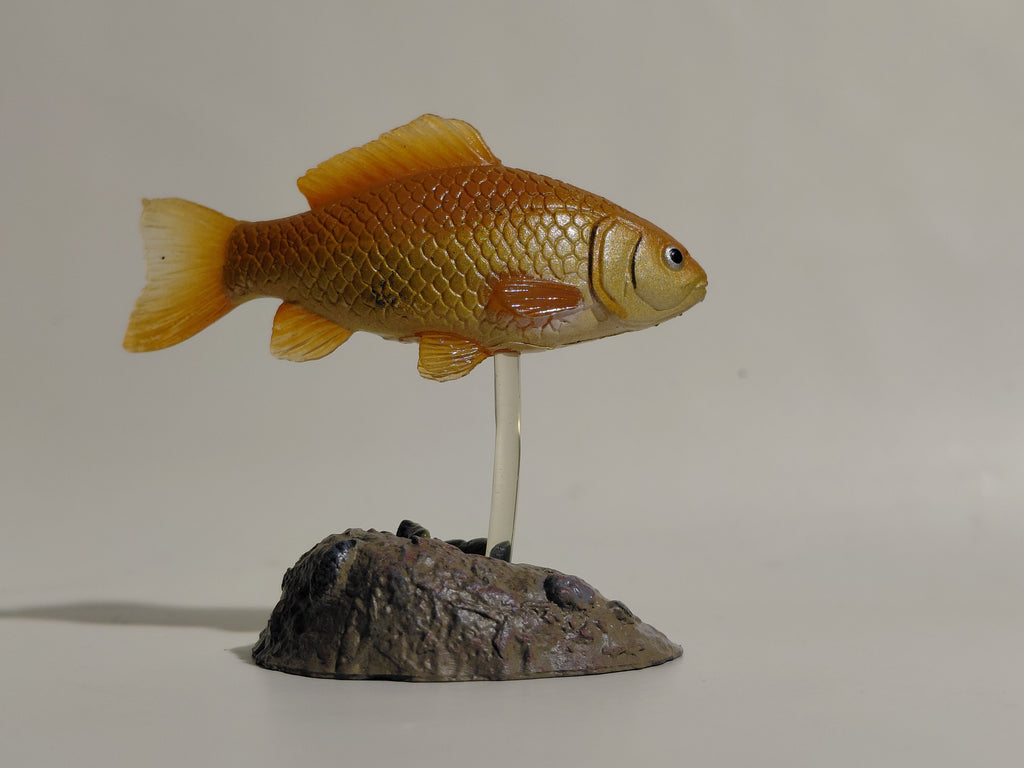 Yujin Japanese Exclusive Japanese Carp Fish Secret SP