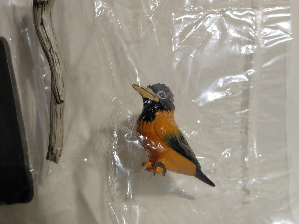 Medicom Toy The Great Mystery Museum Collection Series : Pitohui the poisonous bird