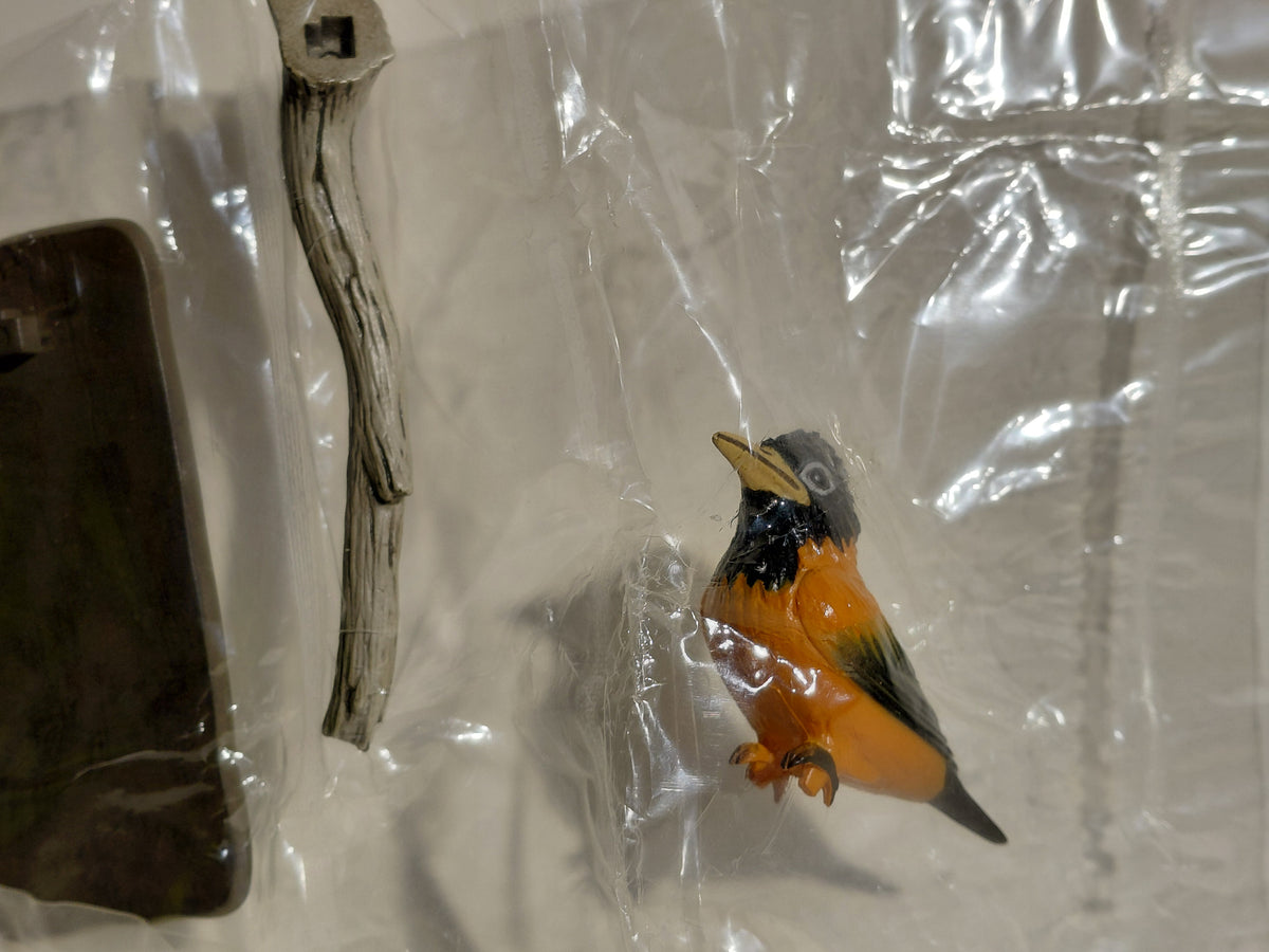 Medicom Toy The Great Mystery Museum Collection Series : Pitohui the poisonous bird