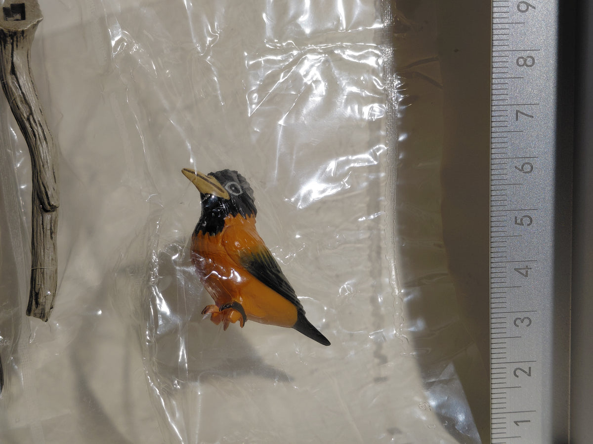 Medicom Toy The Great Mystery Museum Collection Series : Pitohui the poisonous bird