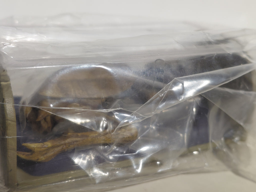 Medicom Toy The Great Mystery Museum Collection Series : Kappa's Mummy