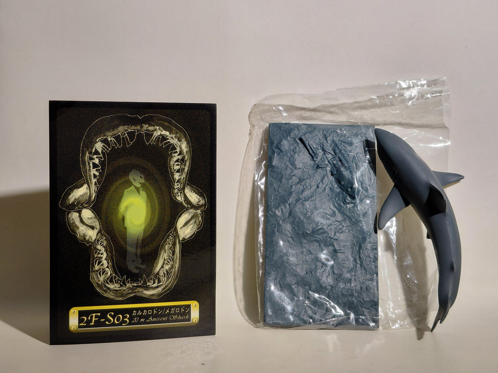 Medicom Toy The Great Mystery Museum Collection Series : Megalodon Ancient Shark
