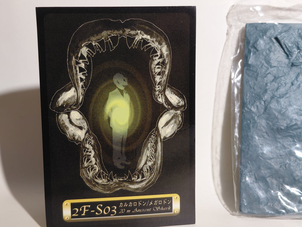 Medicom Toy The Great Mystery Museum Collection Series : Megalodon Ancient Shark