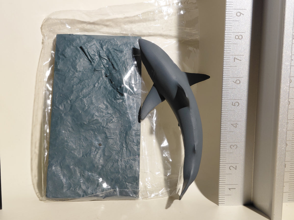 Medicom Toy The Great Mystery Museum Collection Series : Megalodon Ancient Shark