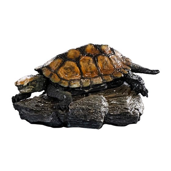 Encyclopedia of Living Things Mini Collection Japanese pond turtle (Nihon ishigame)