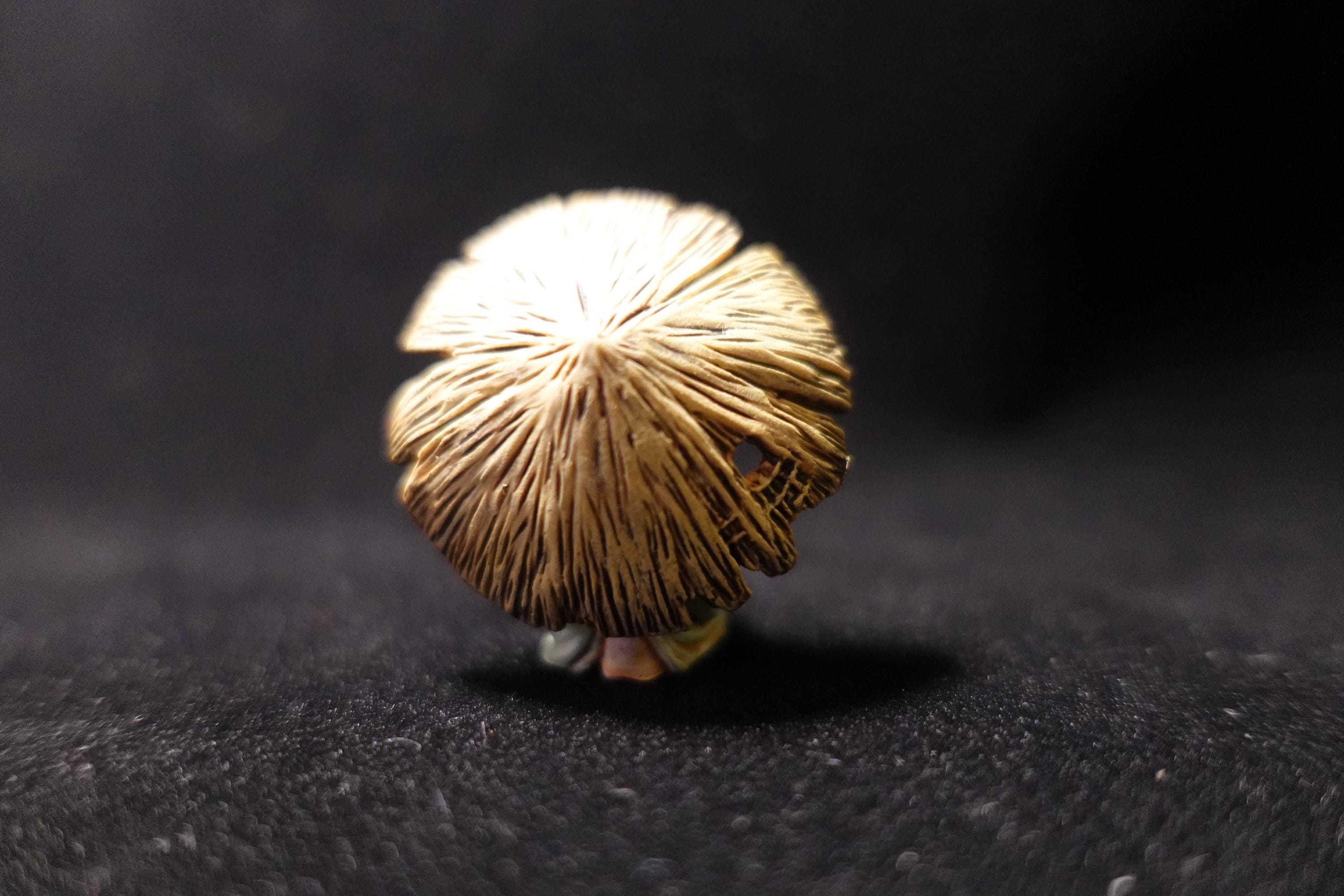 Japanese Yokai Tofu Kozo Mini Mascot Figure Kaiyodo