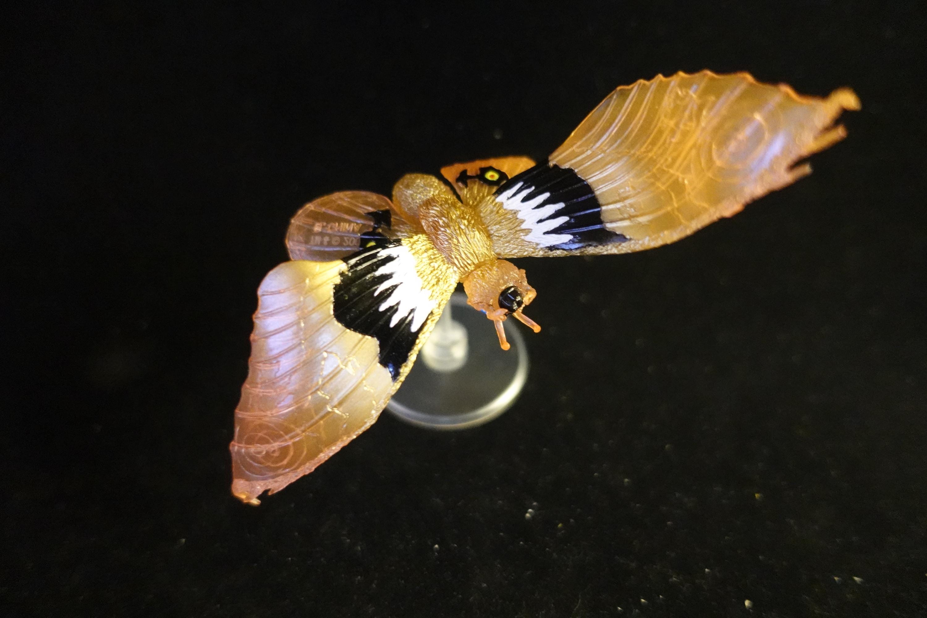 Godzilla Toho Figure Fire Mothra Bandai HG Series 11