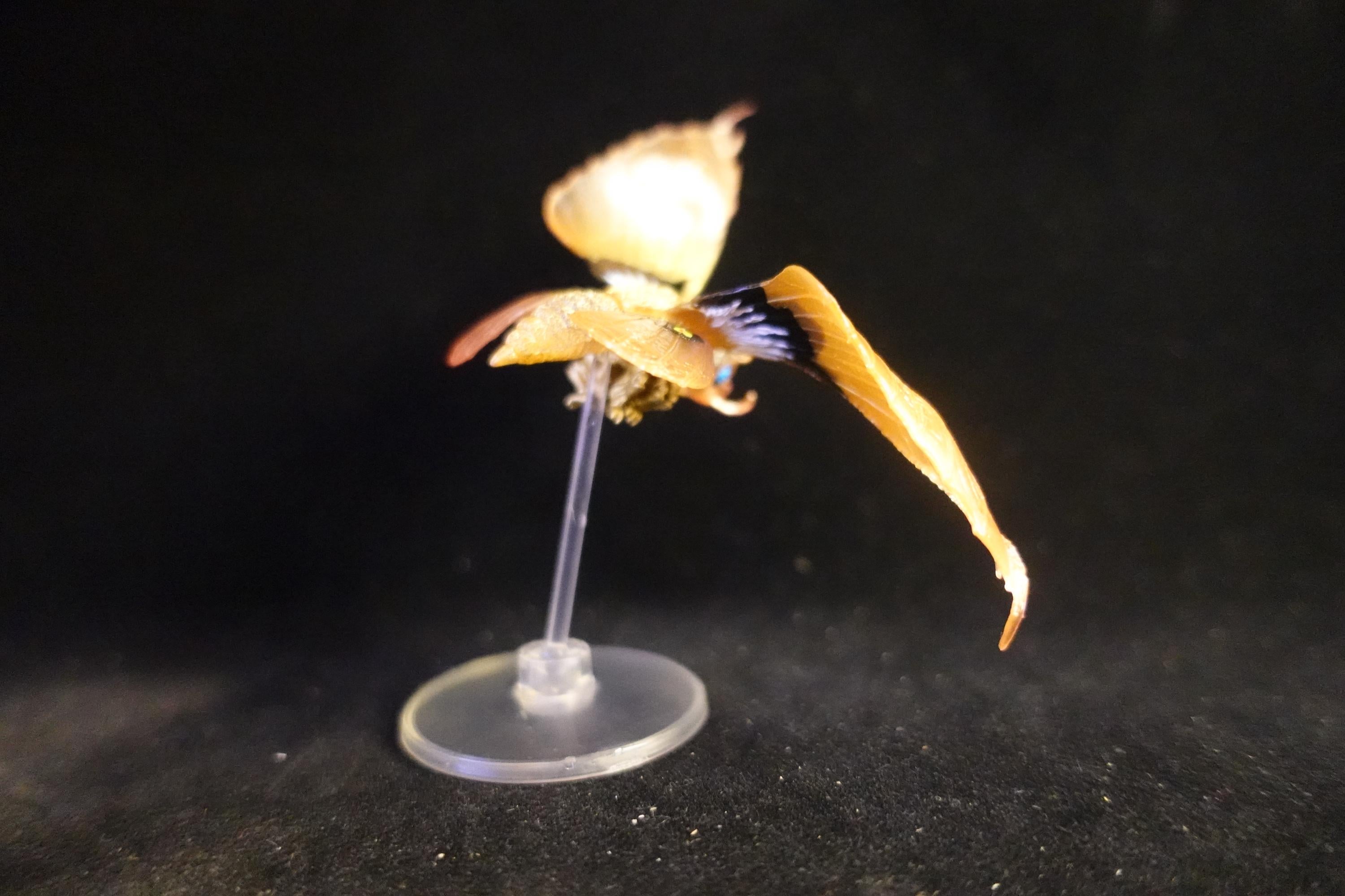 Godzilla Toho Figure Fire Mothra Bandai HG Series 11
