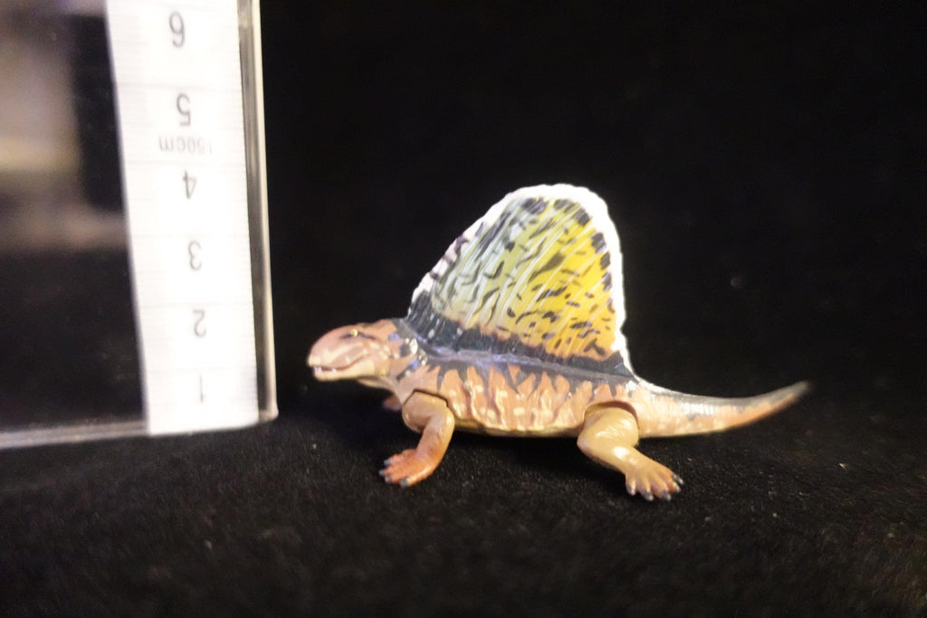 Kaiyodo UHA Dinotales Series 2 Dimetrodon