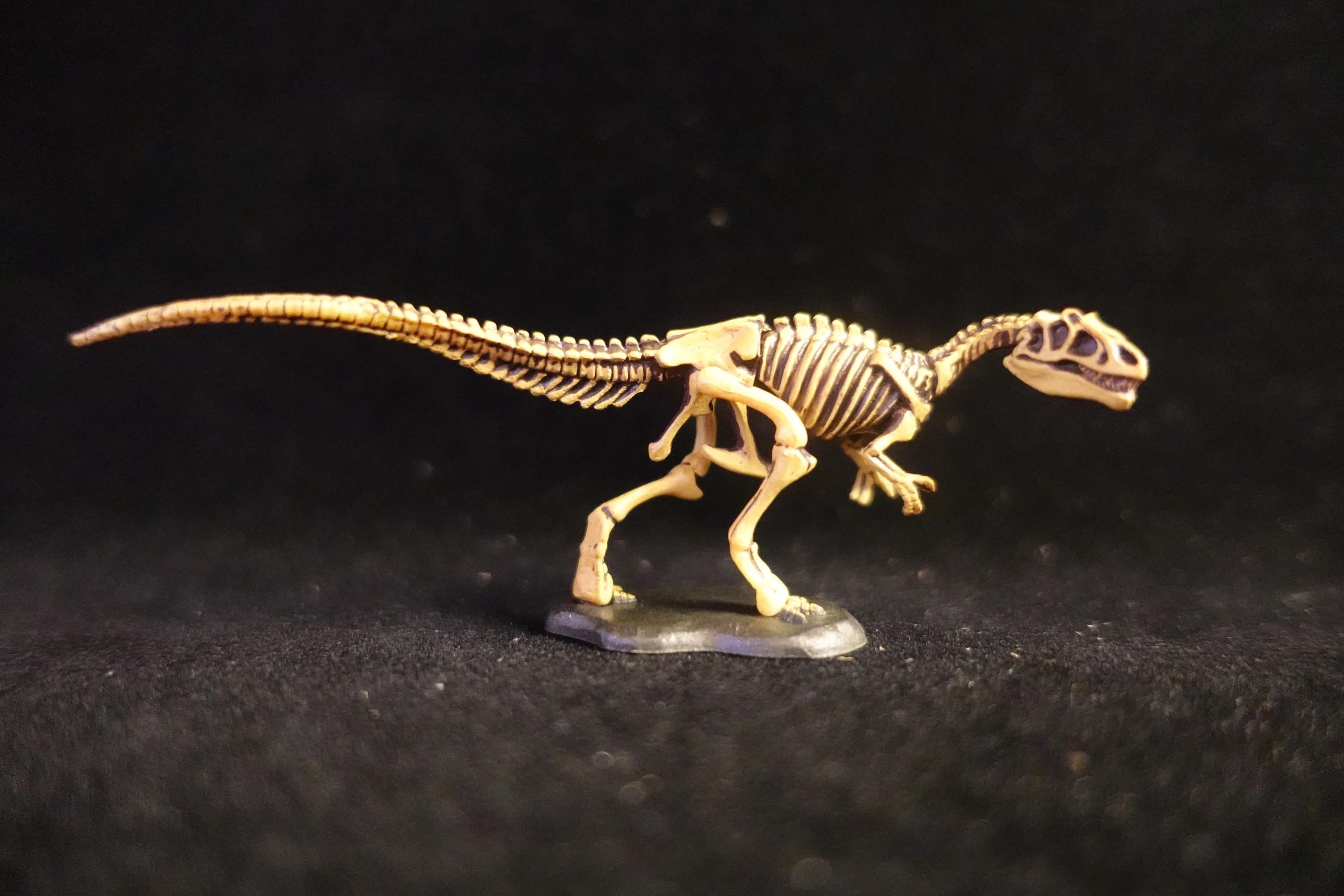 Kaiyodo UHA Dinotales Series 2 Allosaurus