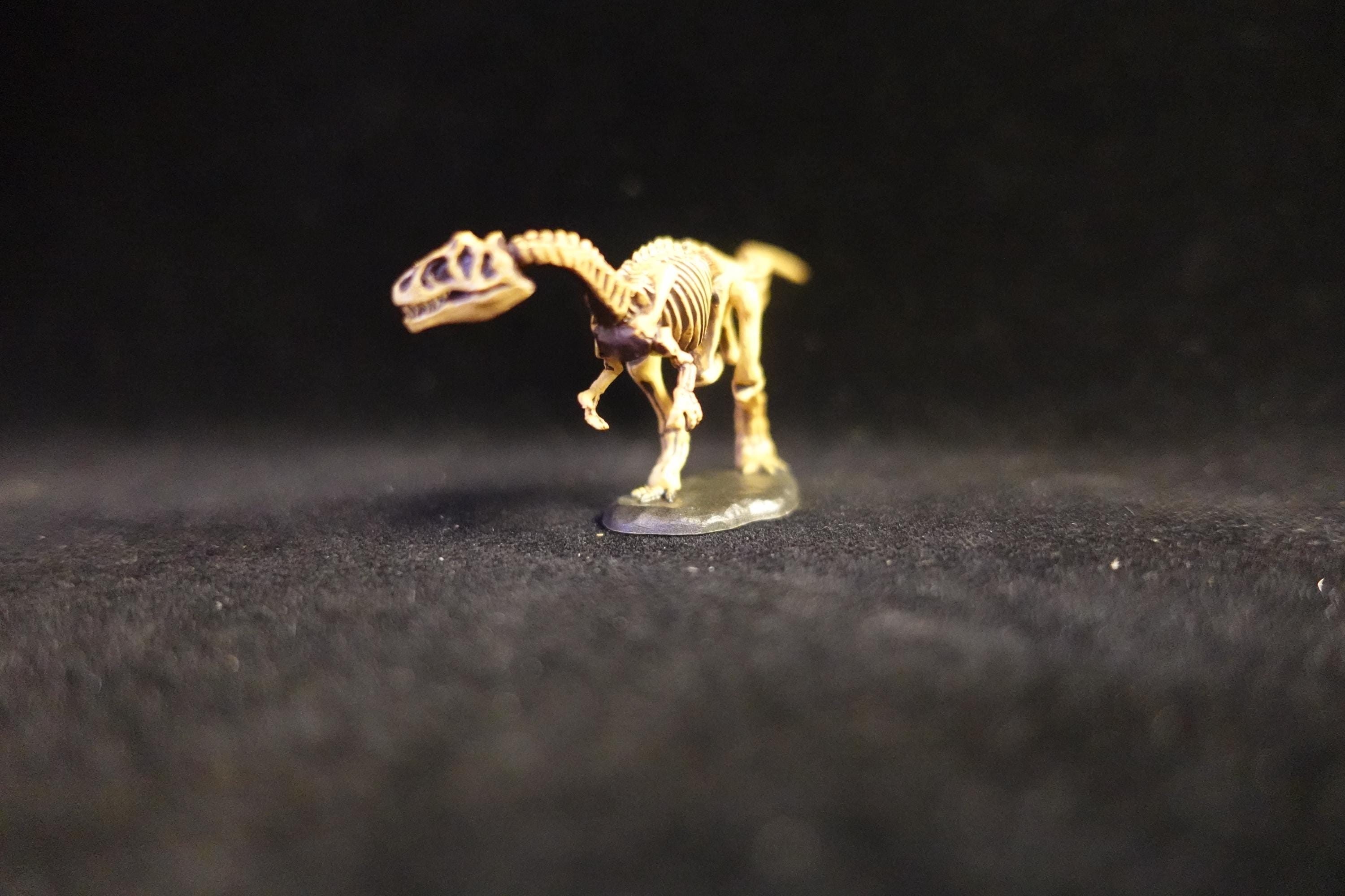 Kaiyodo UHA Dinotales Series 2 Allosaurus