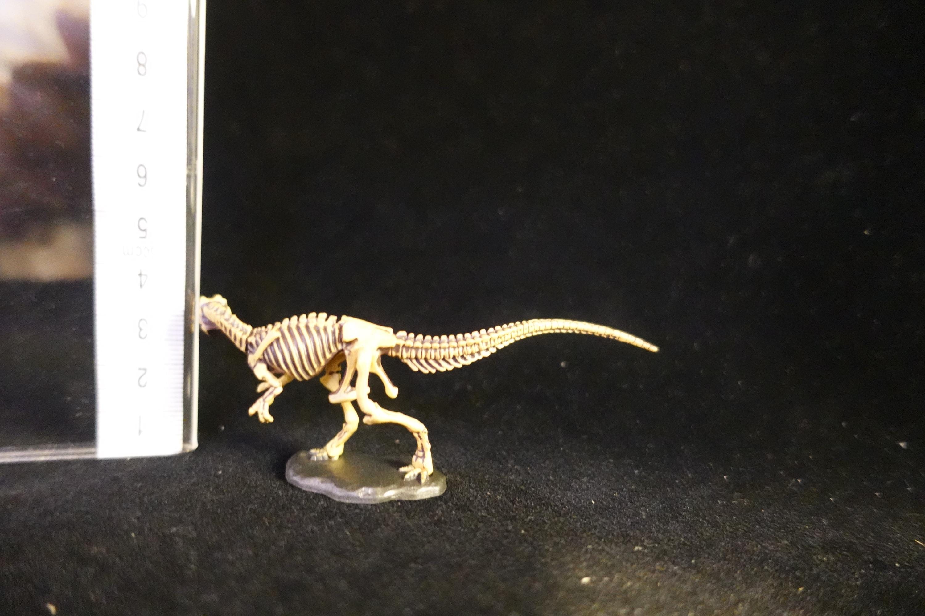 Kaiyodo UHA Dinotales Series 2 Allosaurus