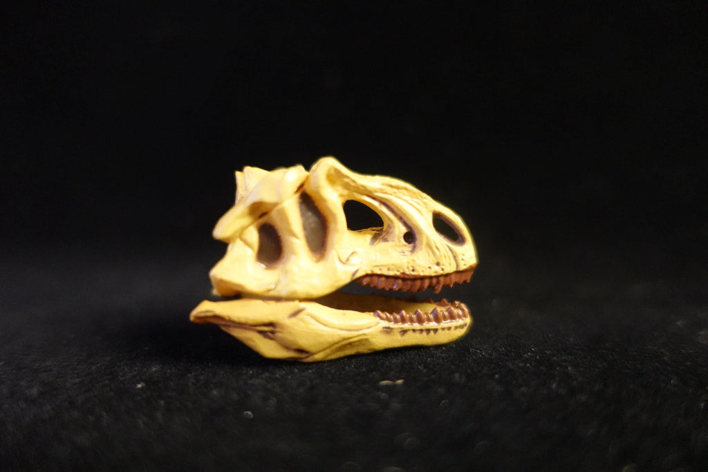 Kaiyodo UHA Dinotales Series 2 Allosaurus Skull