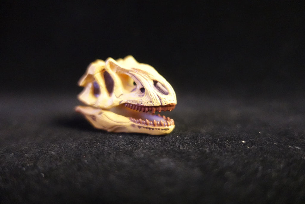 Kaiyodo UHA Dinotales Series 2 Allosaurus Skull