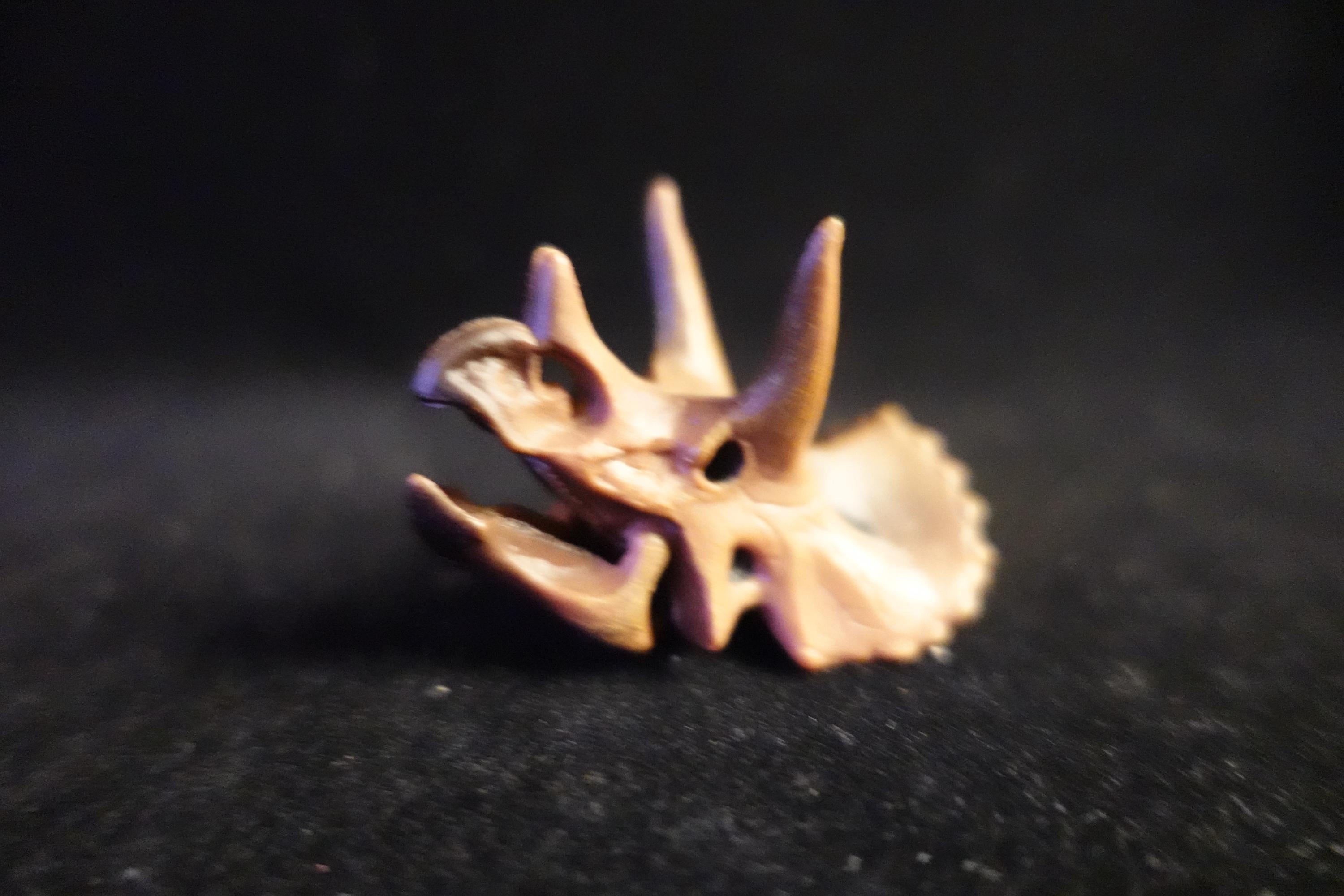 Kaiyodo UHA Dinotales Series 2 Triceratops