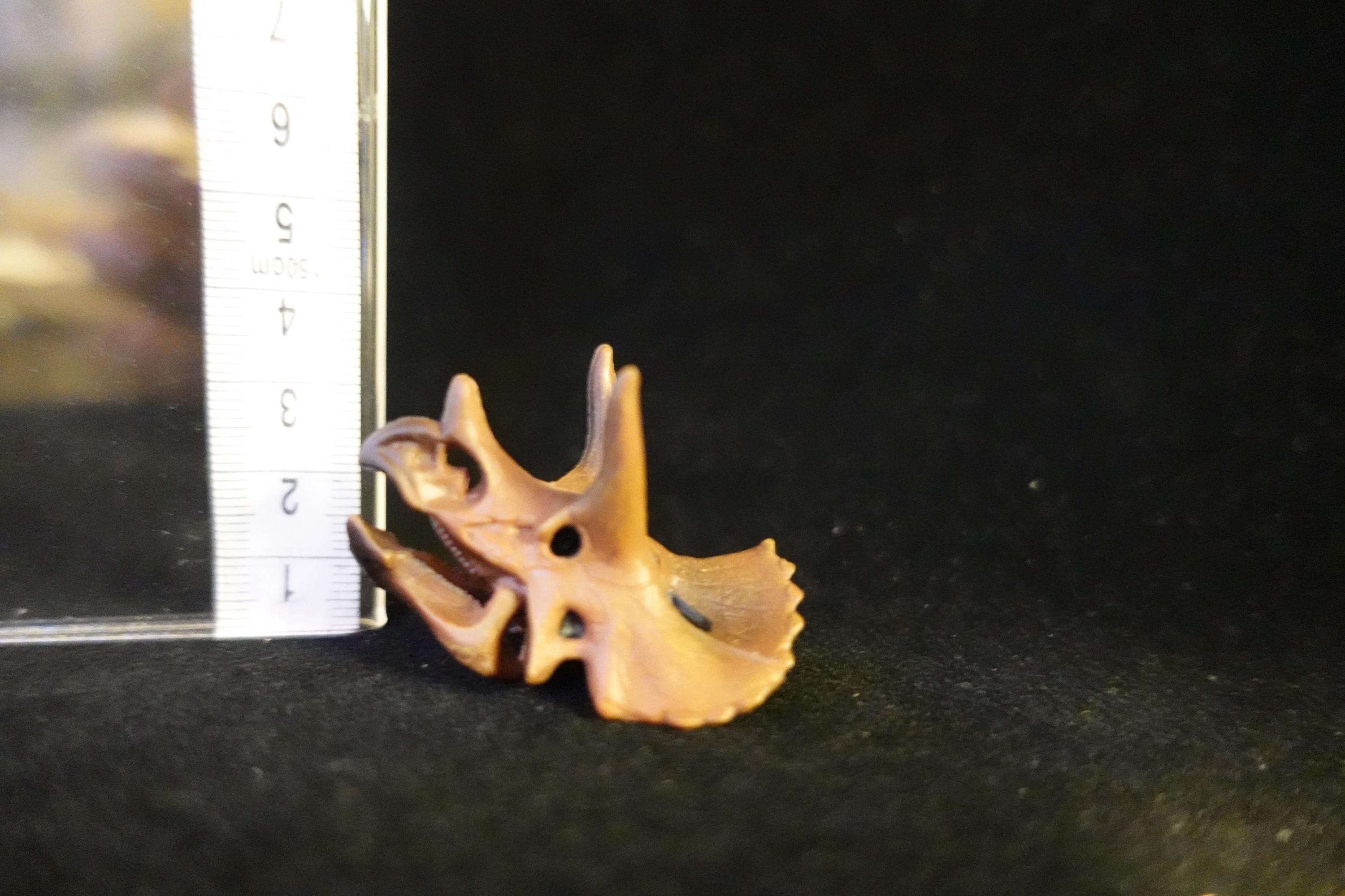 Kaiyodo UHA Dinotales Series 2 Triceratops