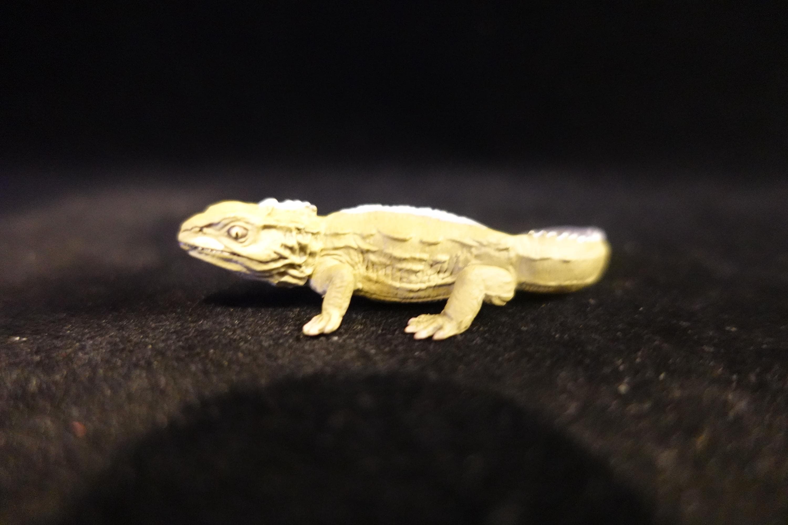 Kaiyodo UHA Dinotales Series 2 Sphenodon punctatus (SP)