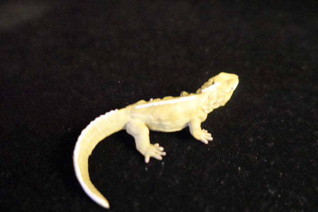 Kaiyodo UHA Dinotales Series 2 Sphenodon punctatus (SP)