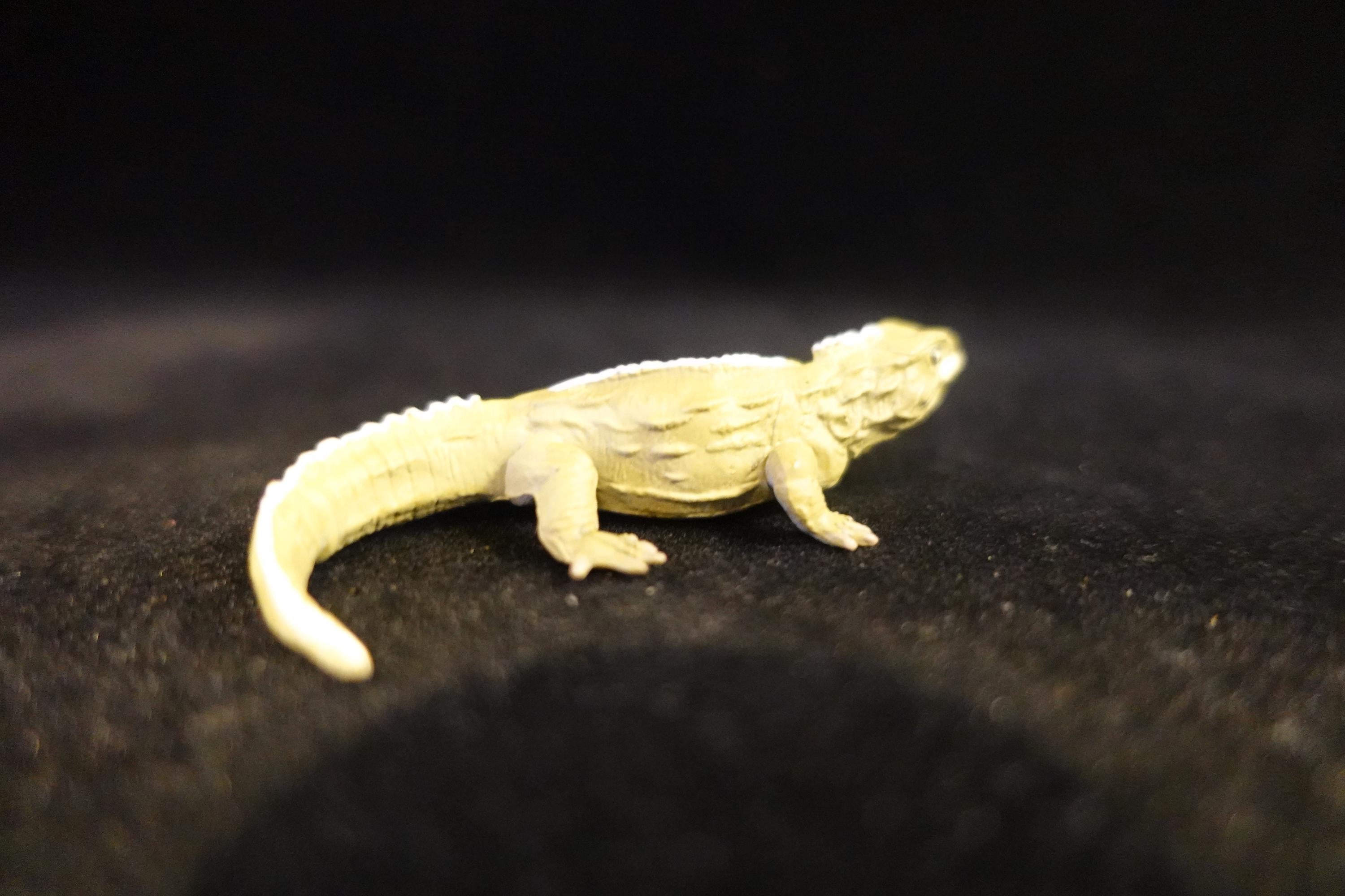 Kaiyodo UHA Dinotales Series 2 Sphenodon punctatus (SP)