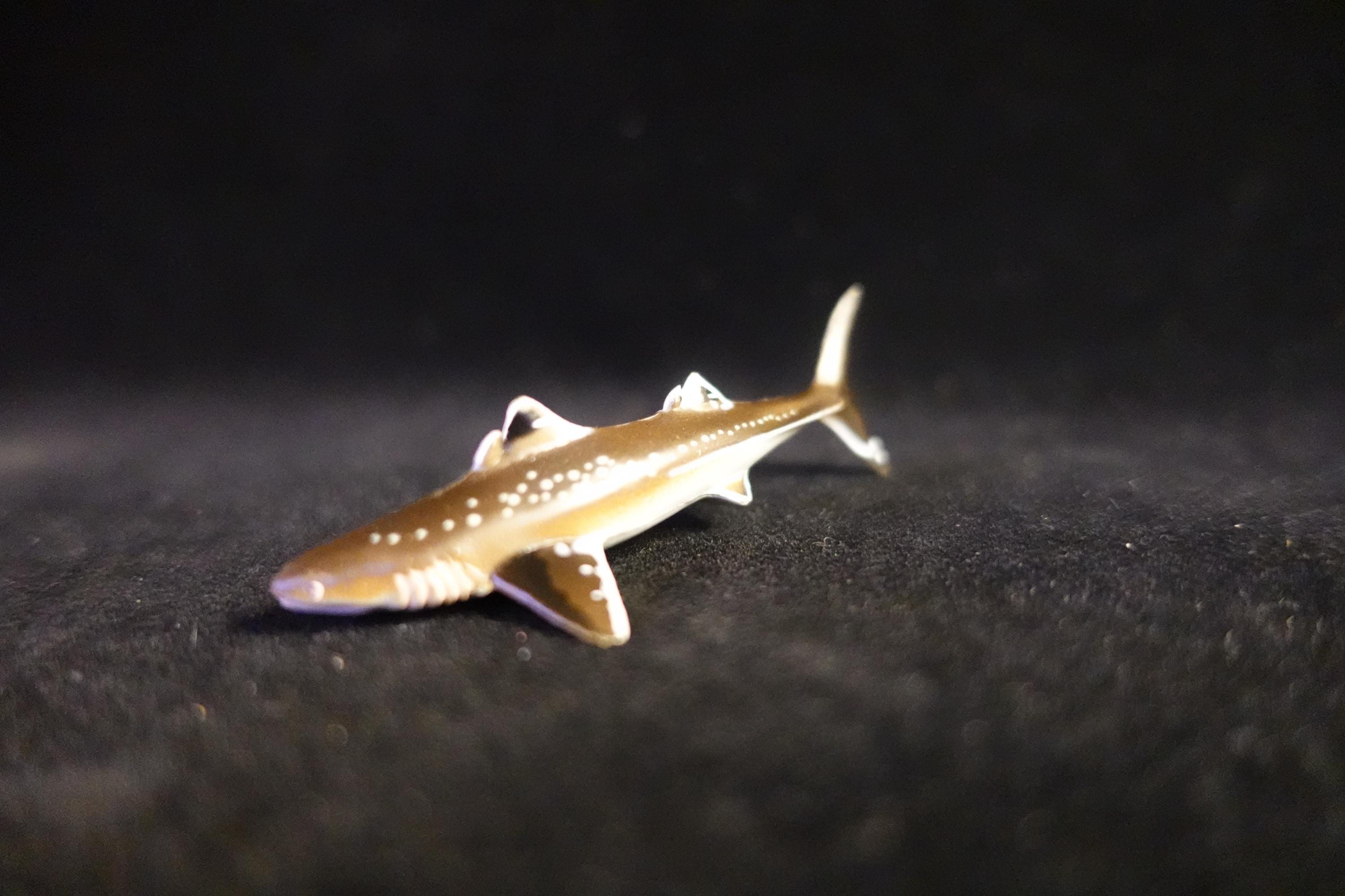 Kaiyodo UHA Dinotales Series 1 Cladoselache prehistoric Shark