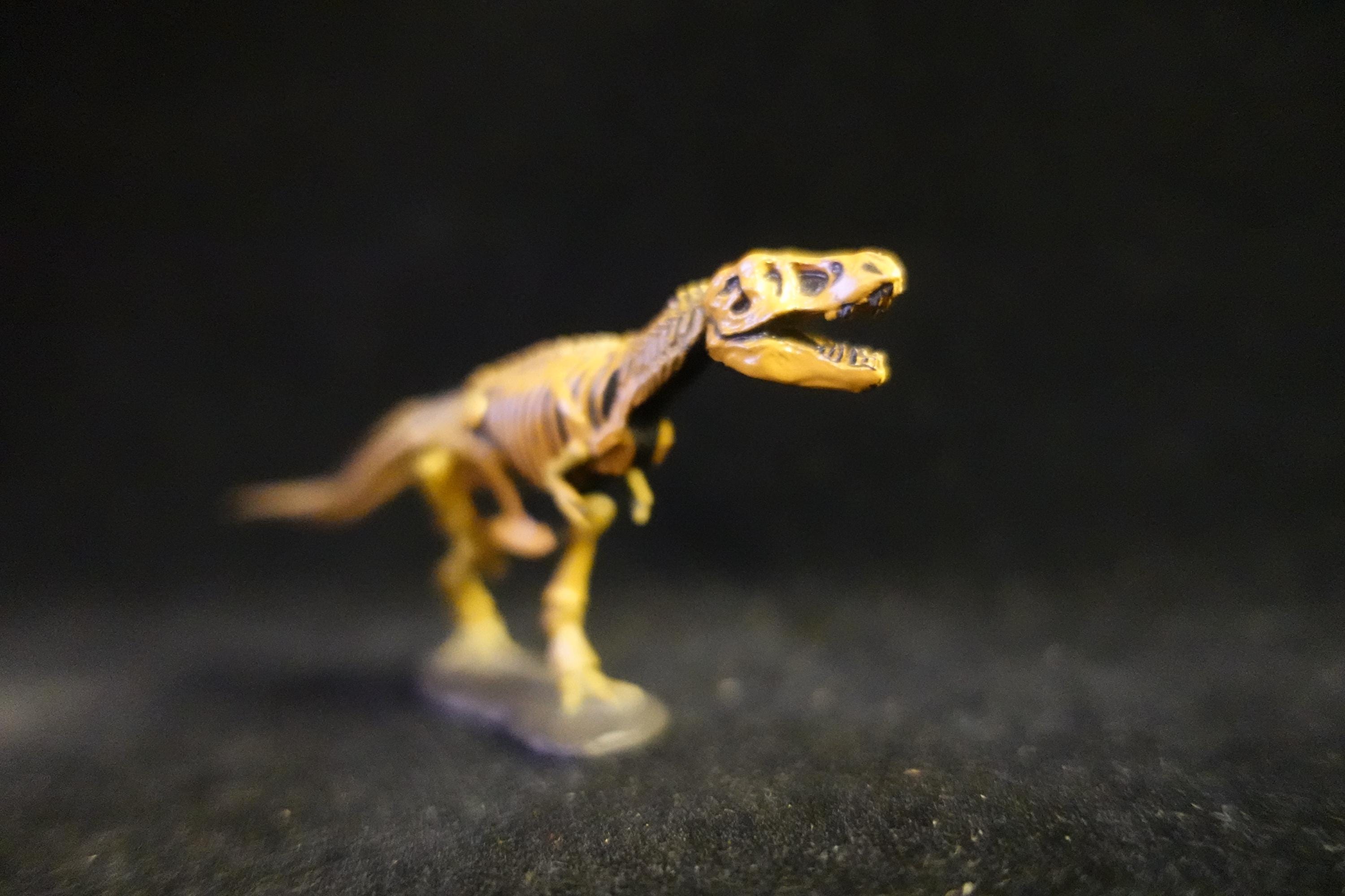 Kaiyodo UHA Dinotales Series 1 Tyrannosaurus Skeleton