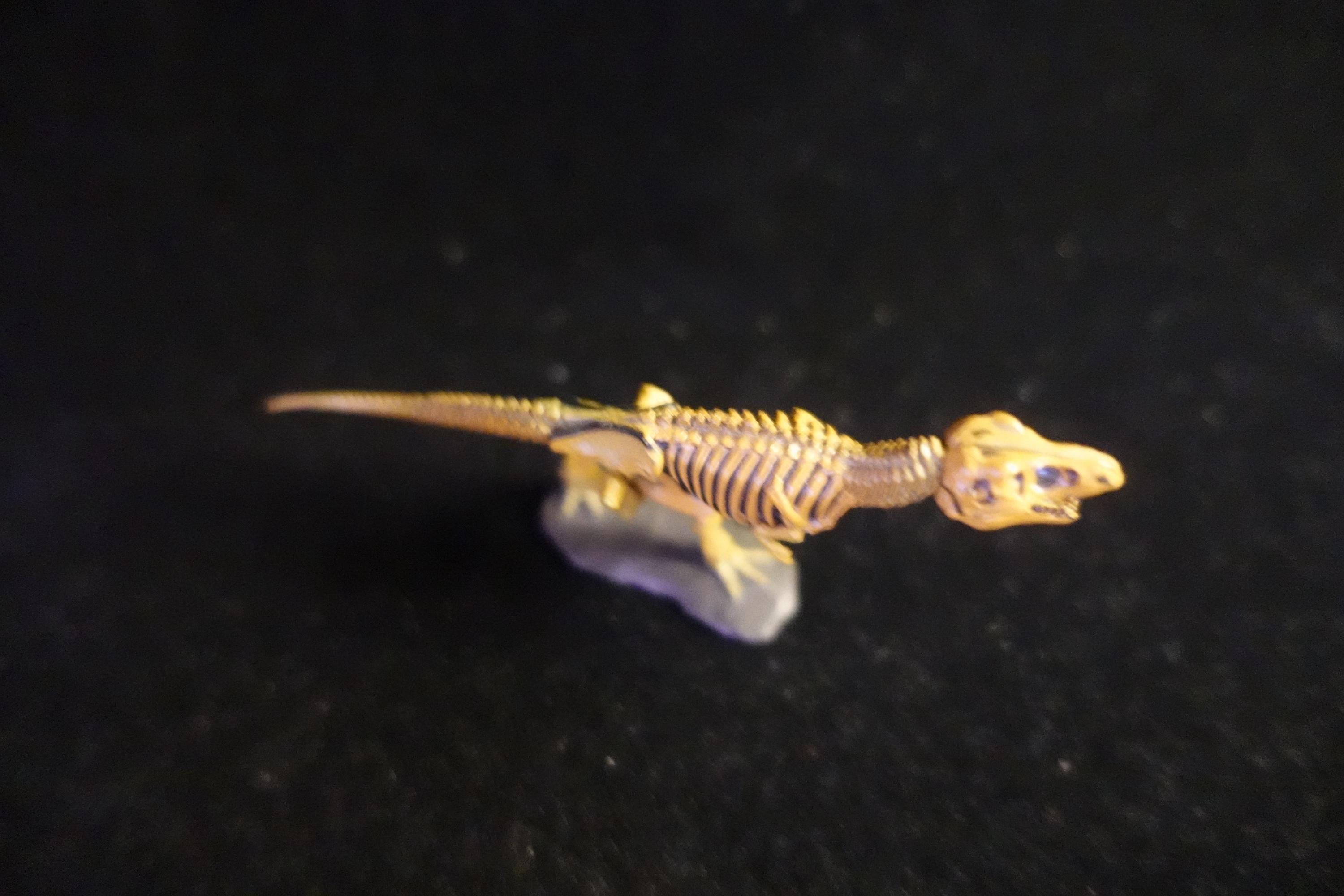 Kaiyodo UHA Dinotales Series 1 Tyrannosaurus Skeleton