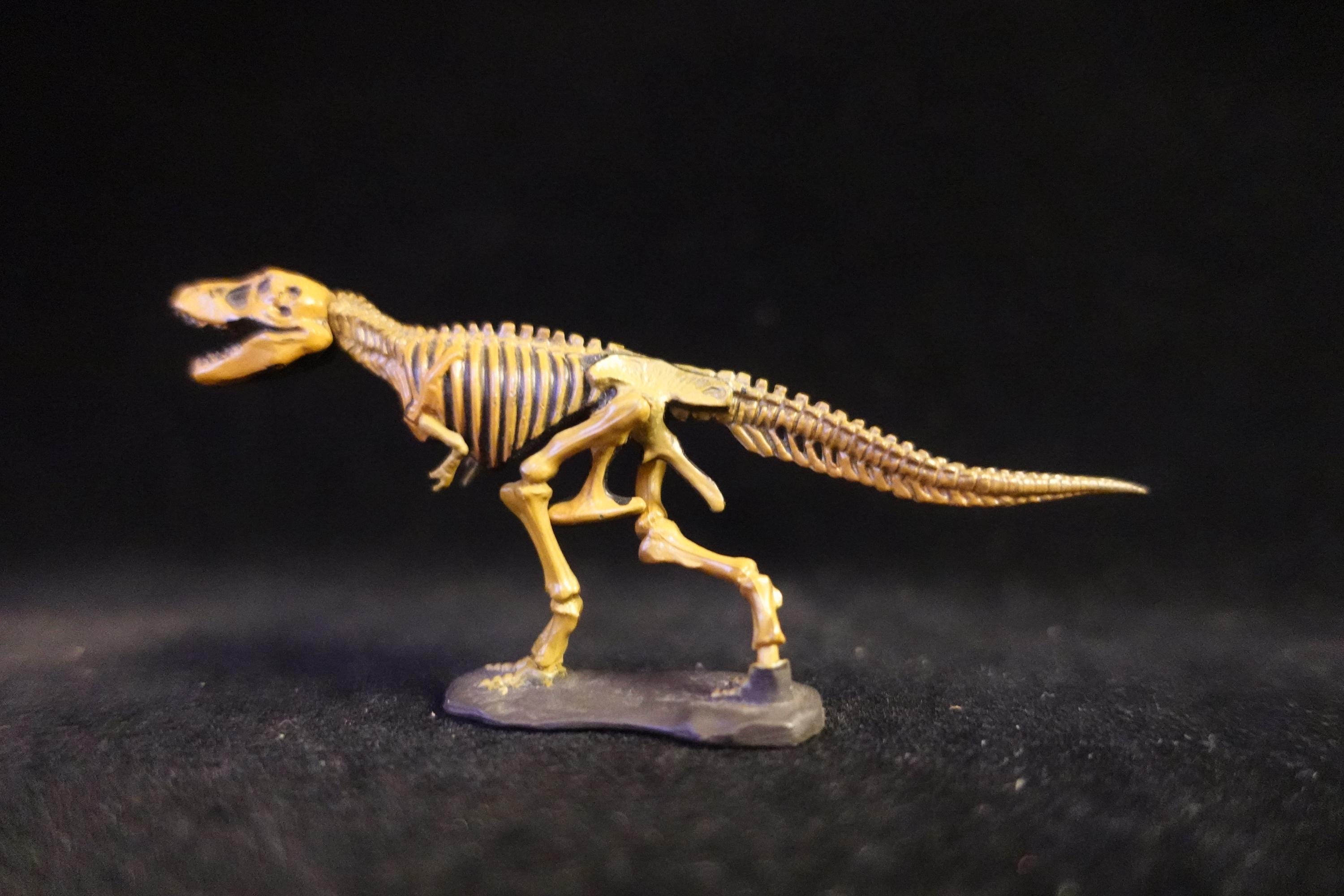 Kaiyodo UHA Dinotales Series 1 Tyrannosaurus Skeleton